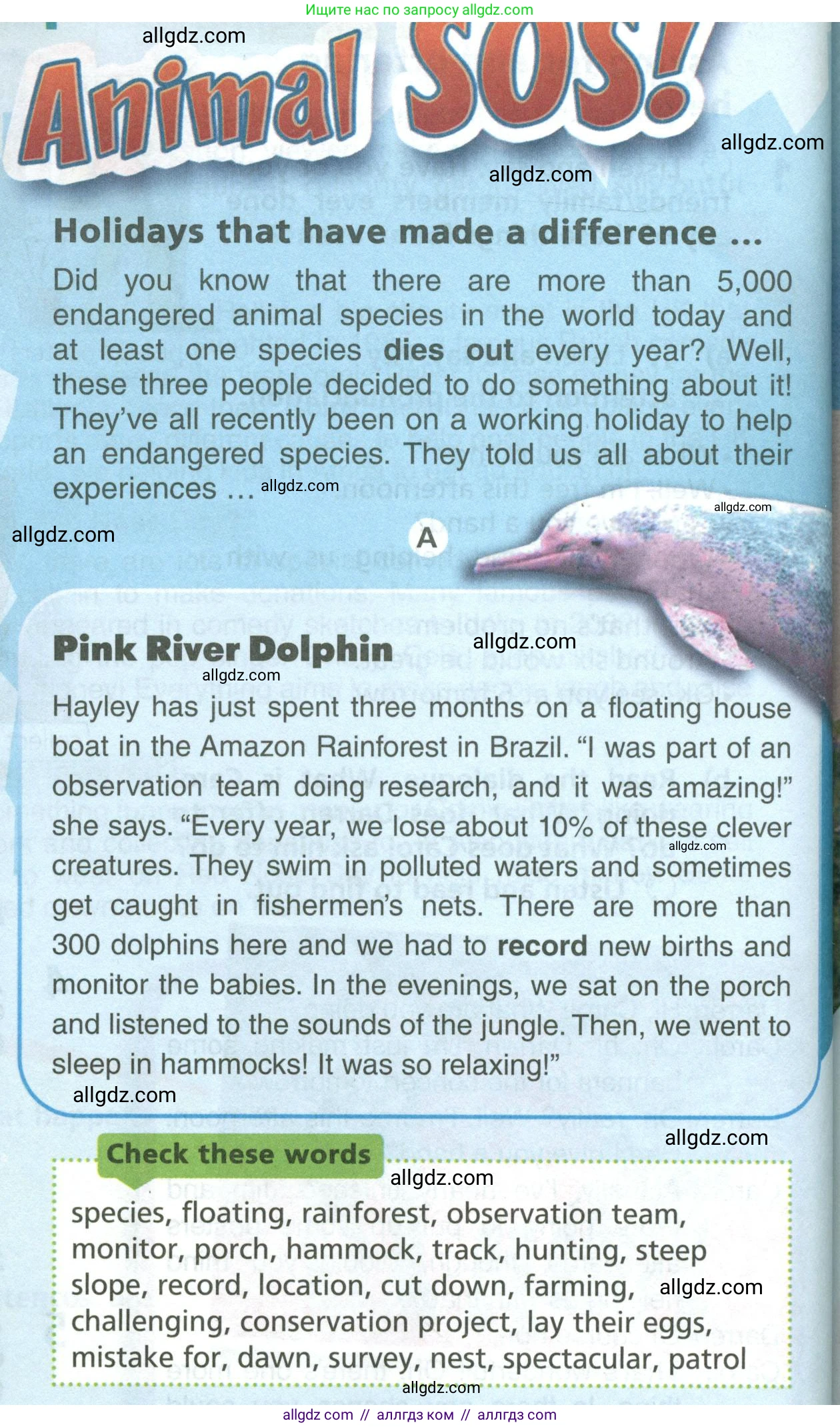 Английский язык (english), 6 класс Учебник (Student's book), авторы: Баранова Ксения Михайловна (Baranova Ksenia), Дули Дженни (Dooley Jenny), Копылова Виктория Викторовна (Kopylova Victoria), Мильруд Радислав Петрович (Millrood Radislav), Эванс Вирджиния (Evans Virginia), издательство Просвещение, Москва, 2023, белого цвета, страница 86, номер 2, Условие (продолжение 2)