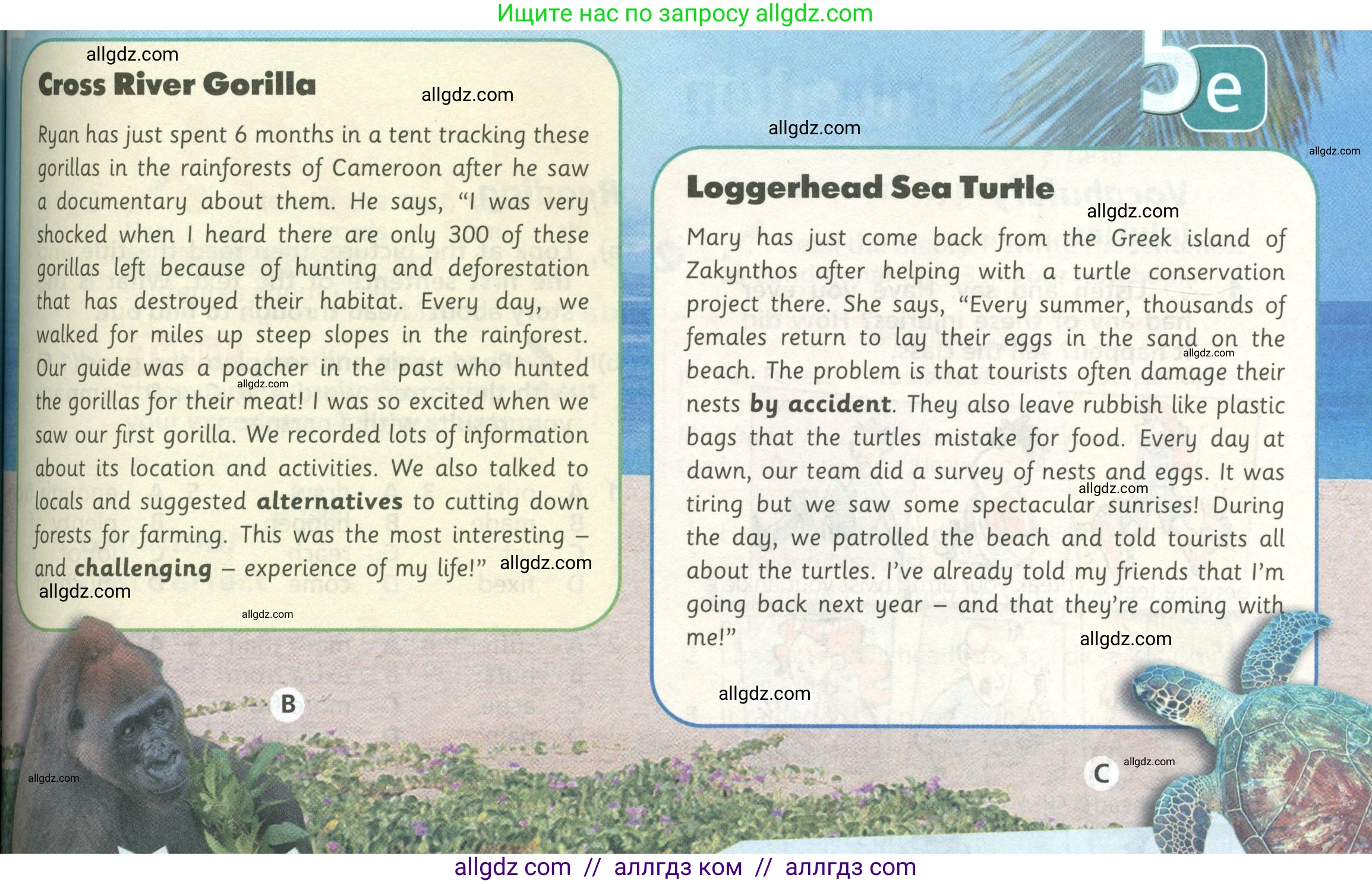 Английский язык (english), 6 класс Учебник (Student's book), авторы: Баранова Ксения Михайловна (Baranova Ksenia), Дули Дженни (Dooley Jenny), Копылова Виктория Викторовна (Kopylova Victoria), Мильруд Радислав Петрович (Millrood Radislav), Эванс Вирджиния (Evans Virginia), издательство Просвещение, Москва, 2023, белого цвета, страница 86, номер 2, Условие (продолжение 3)