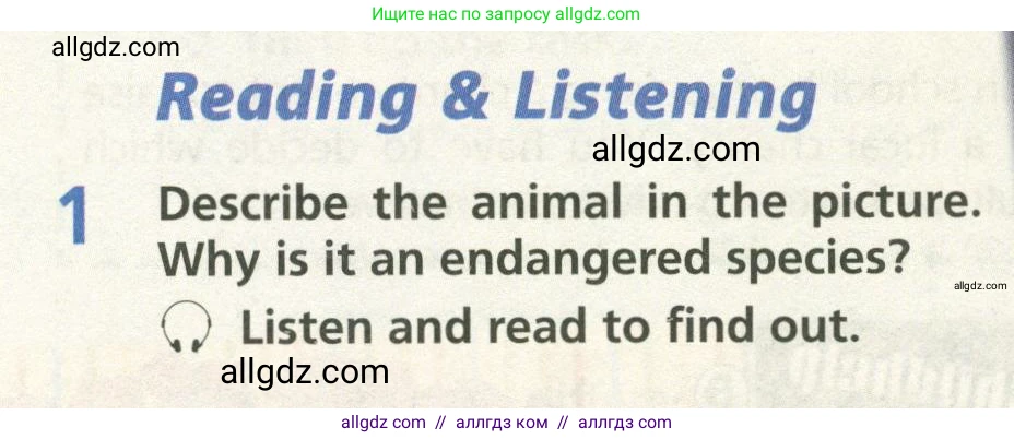 Английский язык (english), 6 класс Учебник (Student's book), авторы: Баранова Ксения Михайловна (Baranova Ksenia), Дули Дженни (Dooley Jenny), Копылова Виктория Викторовна (Kopylova Victoria), Мильруд Радислав Петрович (Millrood Radislav), Эванс Вирджиния (Evans Virginia), издательство Просвещение, Москва, 2023, белого цвета, страница 96, номер 1, Условие