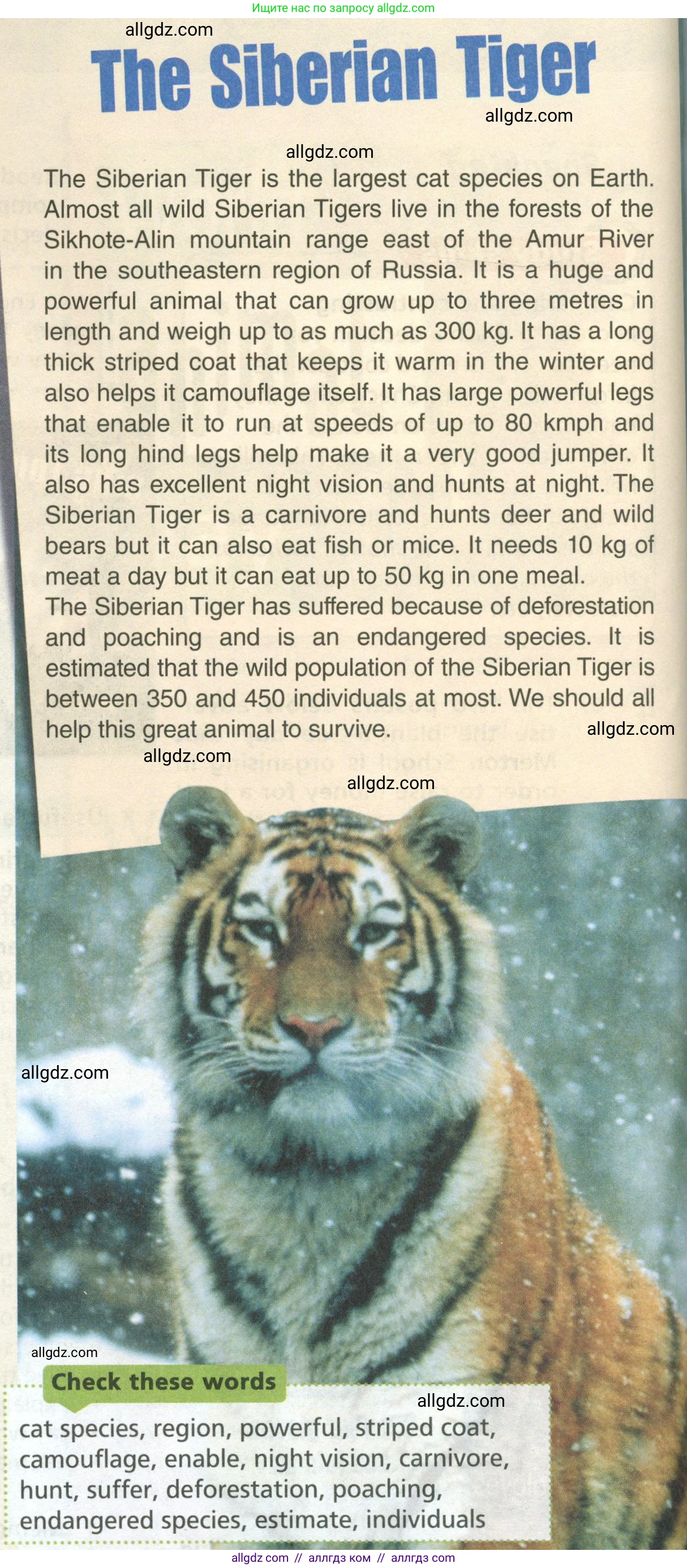 Английский язык (english), 6 класс Учебник (Student's book), авторы: Баранова Ксения Михайловна (Baranova Ksenia), Дули Дженни (Dooley Jenny), Копылова Виктория Викторовна (Kopylova Victoria), Мильруд Радислав Петрович (Millrood Radislav), Эванс Вирджиния (Evans Virginia), издательство Просвещение, Москва, 2023, белого цвета, страница 96, номер 1, Условие (продолжение 2)