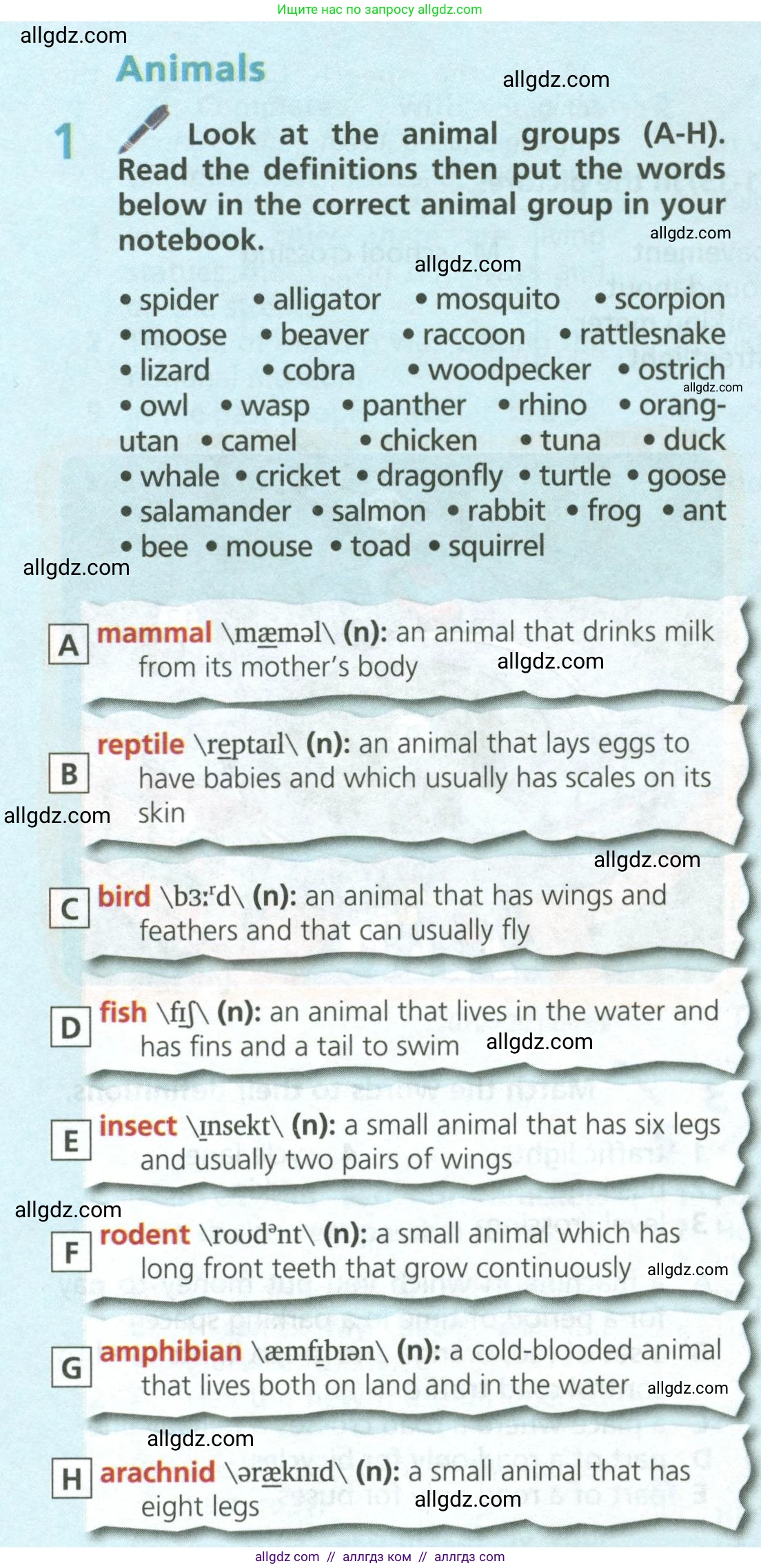 Английский язык (english), 6 класс Учебник (Student's book), авторы: Баранова Ксения Михайловна (Baranova Ksenia), Дули Дженни (Dooley Jenny), Копылова Виктория Викторовна (Kopylova Victoria), Мильруд Радислав Петрович (Millrood Radislav), Эванс Вирджиния (Evans Virginia), издательство Просвещение, Москва, 2023, белого цвета, страница 122, номер 1, Условие