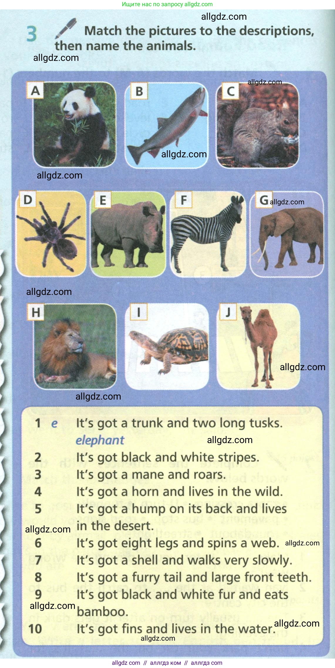 Английский язык (english), 6 класс Учебник (Student's book), авторы: Баранова Ксения Михайловна (Baranova Ksenia), Дули Дженни (Dooley Jenny), Копылова Виктория Викторовна (Kopylova Victoria), Мильруд Радислав Петрович (Millrood Radislav), Эванс Вирджиния (Evans Virginia), издательство Просвещение, Москва, 2023, белого цвета, страница 122, номер 3, Условие