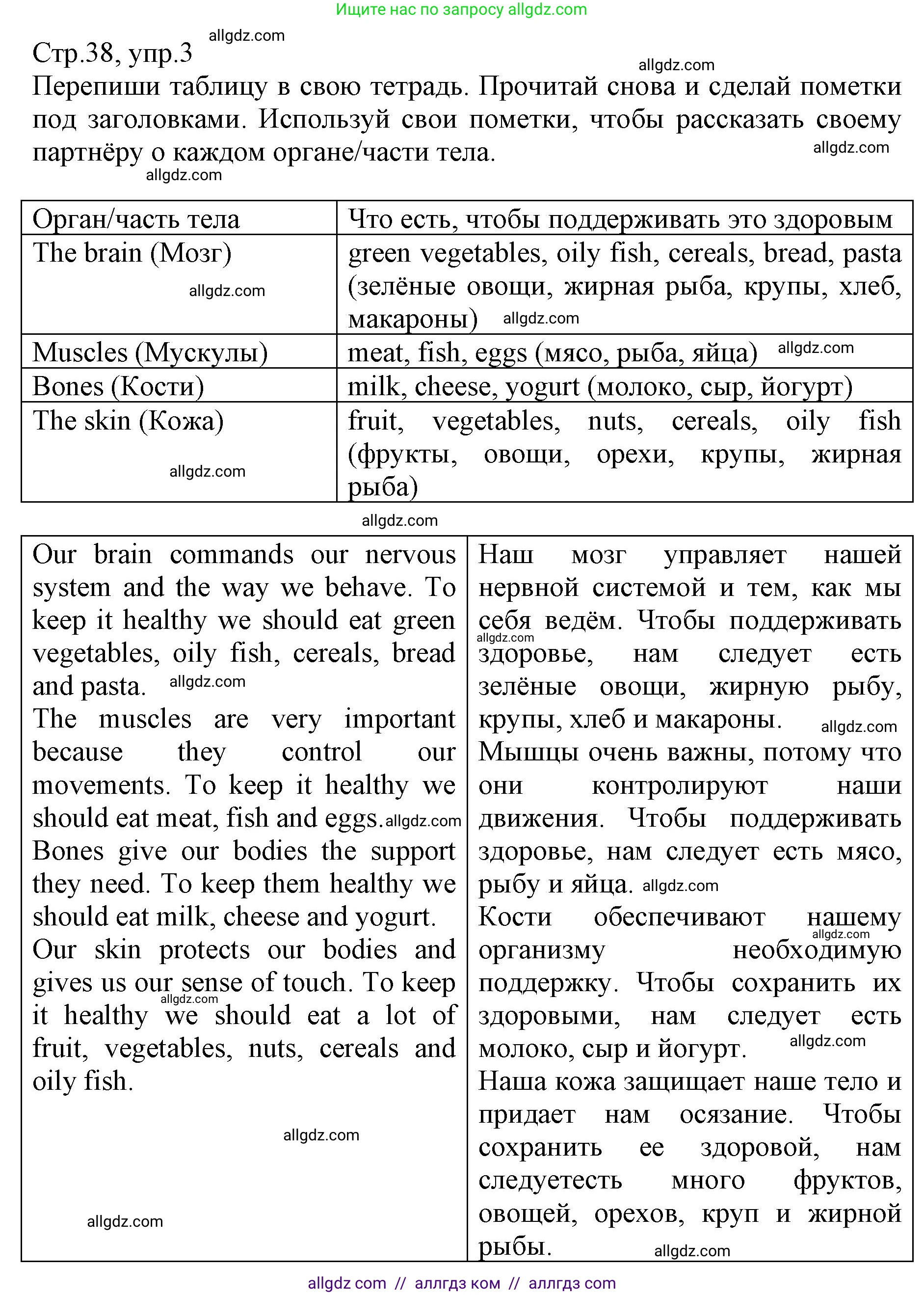 Английский язык (english), 6 класс Учебник (Student's book), авторы: Баранова Ксения Михайловна (Baranova Ksenia), Дули Дженни (Dooley Jenny), Копылова Виктория Викторовна (Kopylova Victoria), Мильруд Радислав Петрович (Millrood Radislav), Эванс Вирджиния (Evans Virginia), издательство Просвещение, Москва, 2023, белого цвета, страница 38, номер 3, Решение