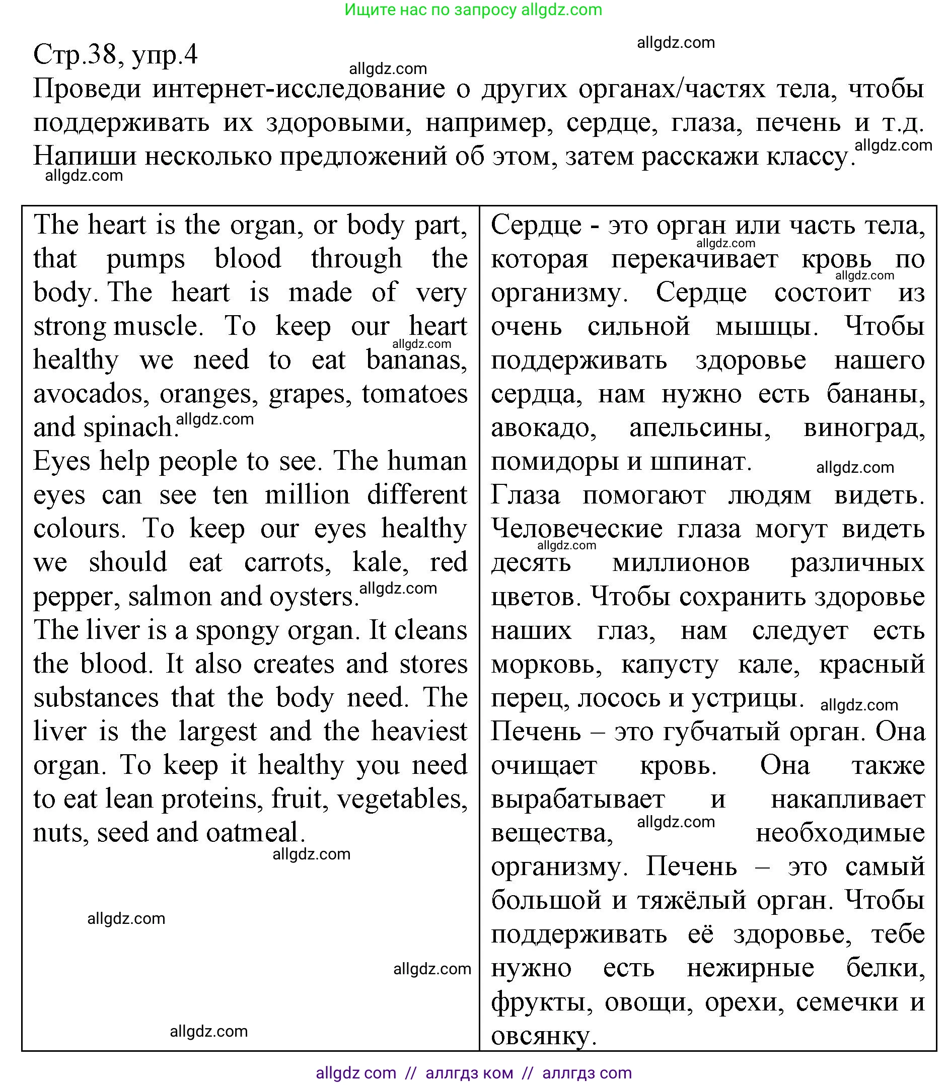 Английский язык (english), 6 класс Учебник (Student's book), авторы: Баранова Ксения Михайловна (Baranova Ksenia), Дули Дженни (Dooley Jenny), Копылова Виктория Викторовна (Kopylova Victoria), Мильруд Радислав Петрович (Millrood Radislav), Эванс Вирджиния (Evans Virginia), издательство Просвещение, Москва, 2023, белого цвета, страница 38, номер 4, Решение