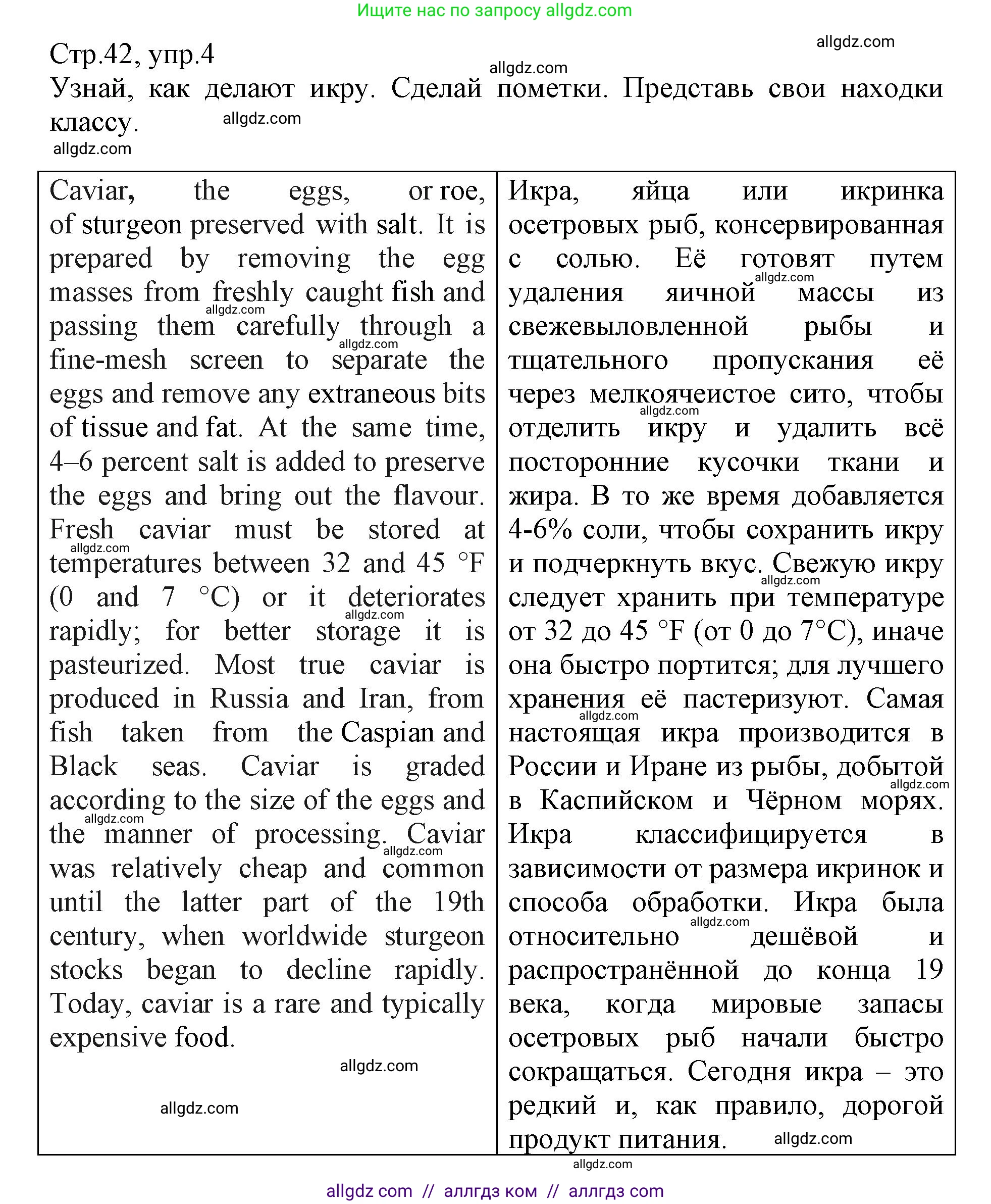 Английский язык (english), 6 класс Учебник (Student's book), авторы: Баранова Ксения Михайловна (Baranova Ksenia), Дули Дженни (Dooley Jenny), Копылова Виктория Викторовна (Kopylova Victoria), Мильруд Радислав Петрович (Millrood Radislav), Эванс Вирджиния (Evans Virginia), издательство Просвещение, Москва, 2023, белого цвета, страница 42, номер 4, Решение