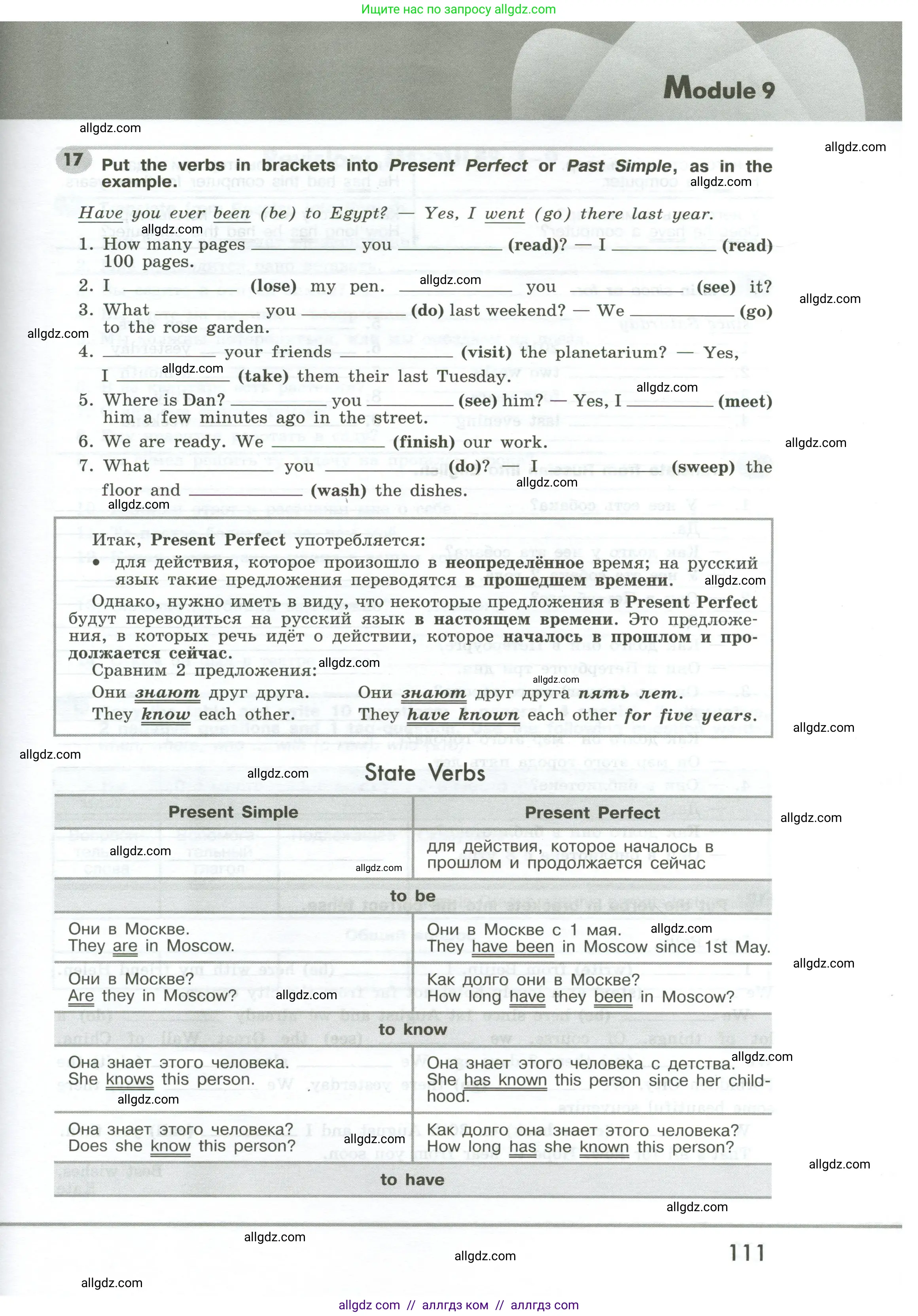 Английский язык (english), 6 класс Грамматический тренажёр, автор: Тимофеева Светлана Леонидовна, издательство Просвещение, Москва, 2023, зелёного цвета, страница 111