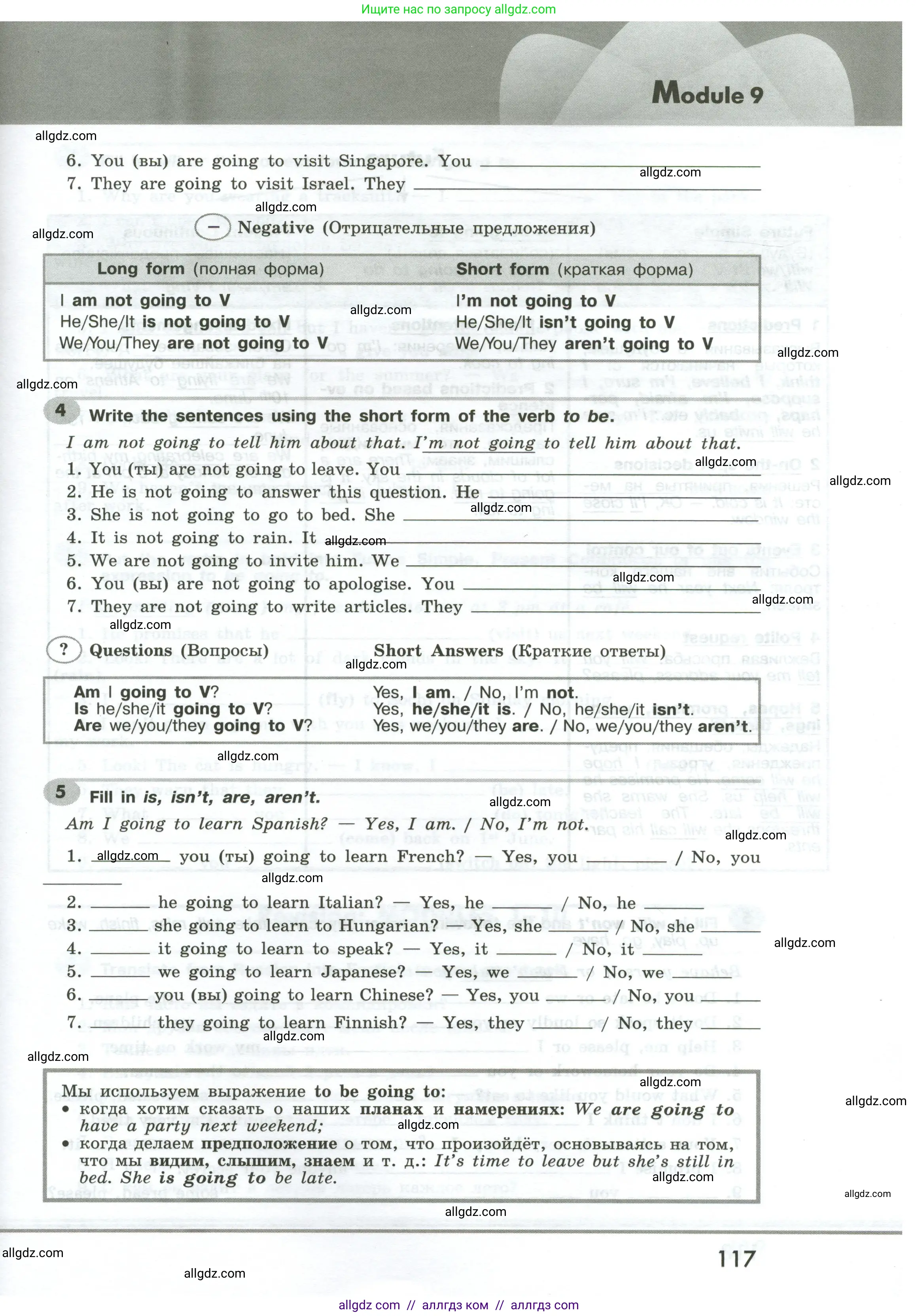 Английский язык (english), 6 класс Грамматический тренажёр, автор: Тимофеева Светлана Леонидовна, издательство Просвещение, Москва, 2023, зелёного цвета, страница 117