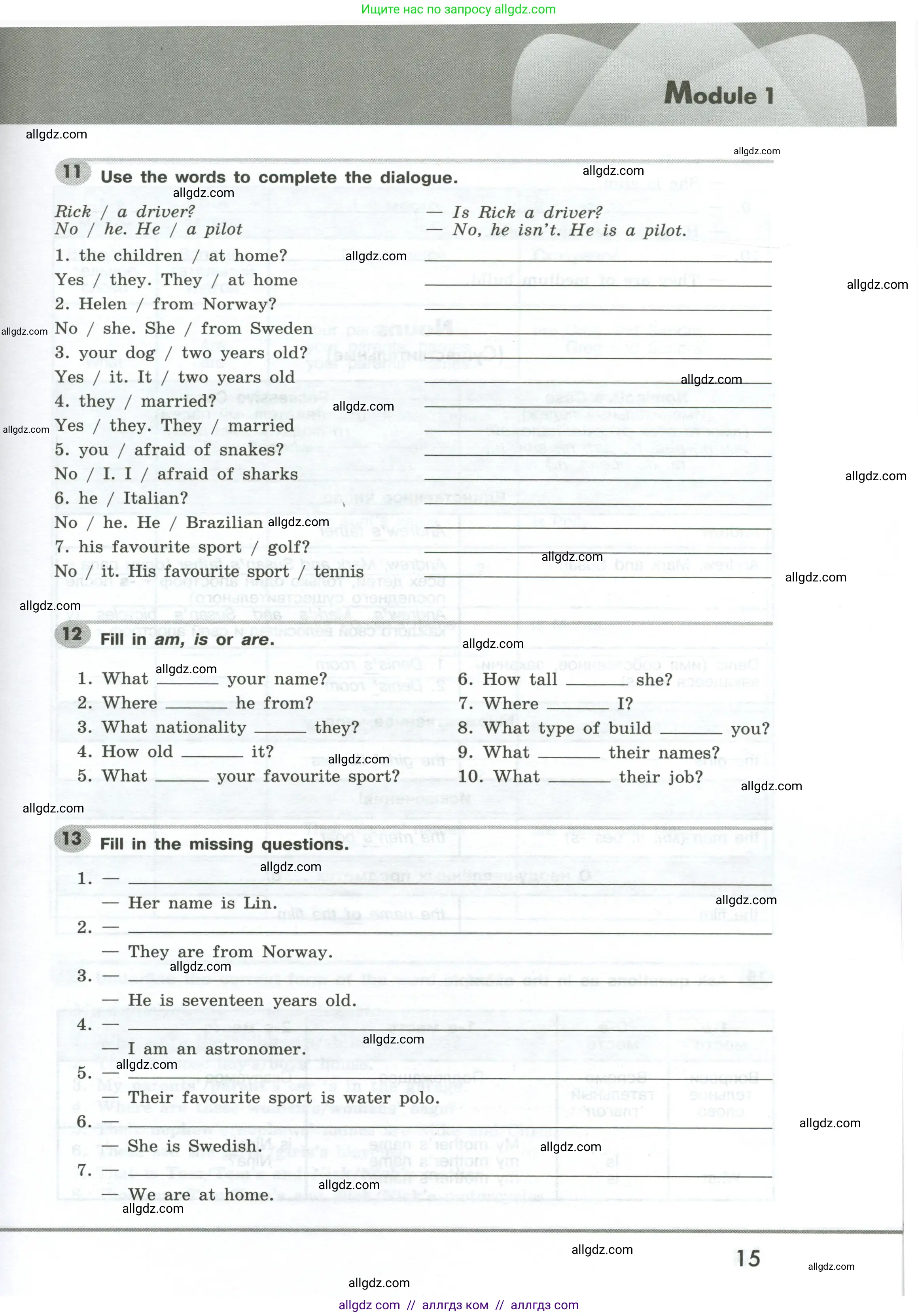 Английский язык (english), 6 класс Грамматический тренажёр, автор: Тимофеева Светлана Леонидовна, издательство Просвещение, Москва, 2023, зелёного цвета, страница 15