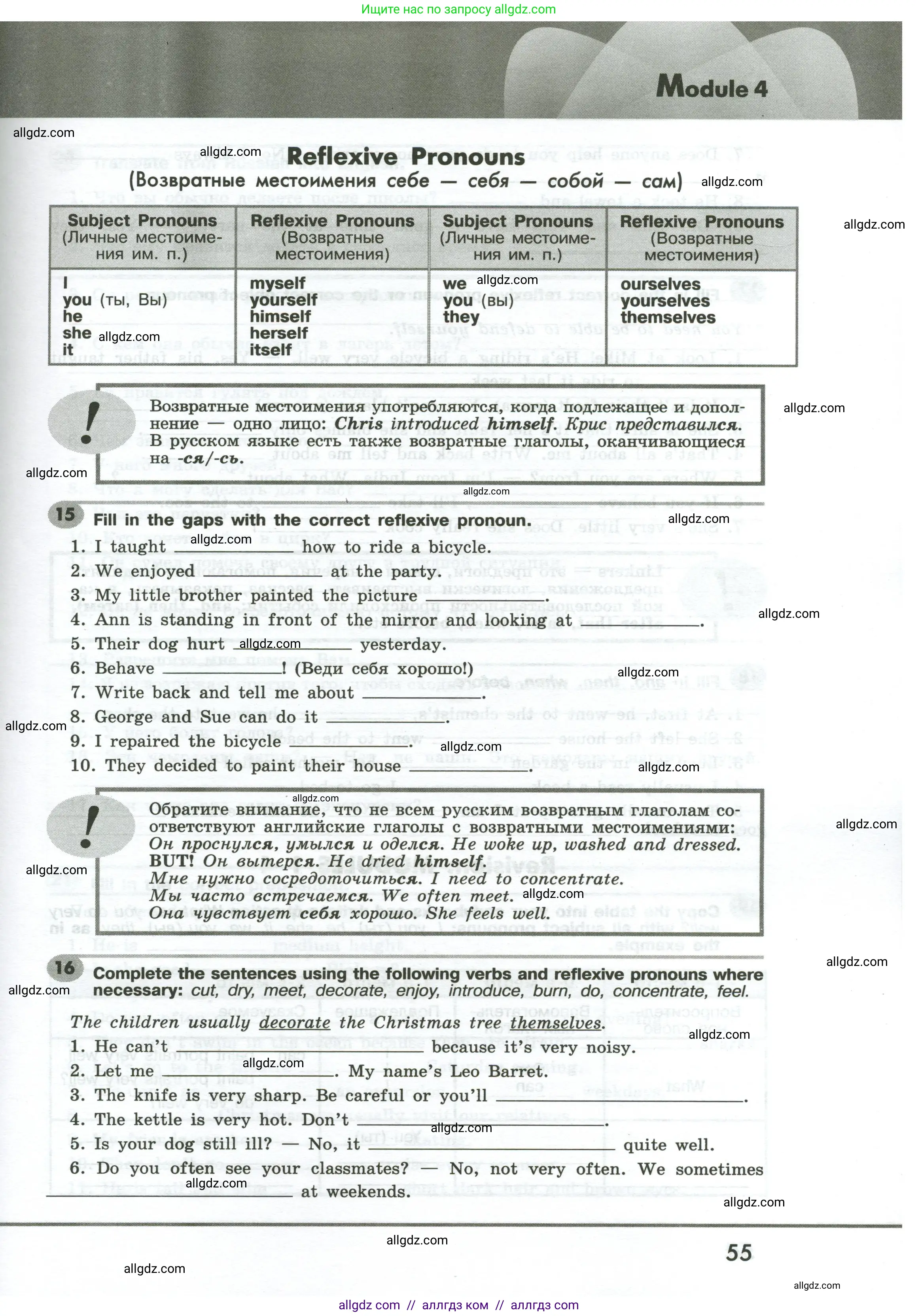 Английский язык (english), 6 класс Грамматический тренажёр, автор: Тимофеева Светлана Леонидовна, издательство Просвещение, Москва, 2023, зелёного цвета, страница 55
