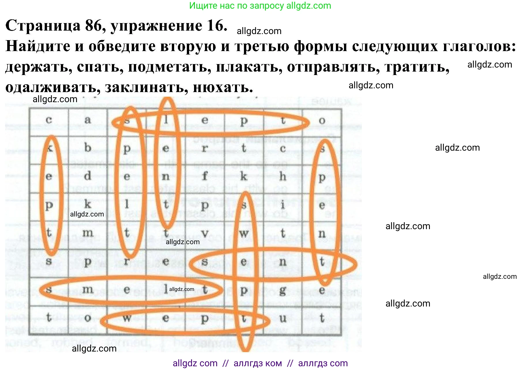 Английский язык (english), 6 класс Грамматический тренажёр, автор: Тимофеева Светлана Леонидовна, издательство Просвещение, Москва, 2023, зелёного цвета, страница 86, номер 16, Решение 1 (2023-2027)