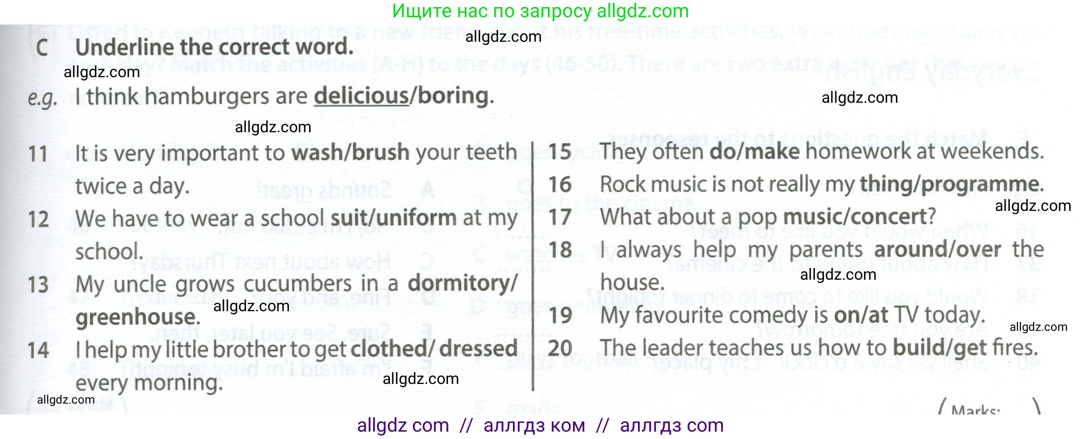 Английский язык (english), 6 класс контрольные задания (test booklet), авторы: Ваулина Юлия Евгеньевна (Vaulina Julia), Дули Дженни (Dooley Jenny), Подоляко Ольга Евгеньевна (Podolyako Olga), Эванс Вирджиния (Evans Virginia), издательство Просвещение, Москва, 2023, зелёного цвета, страница 29, номер C (11-20), Условие 2023-2027