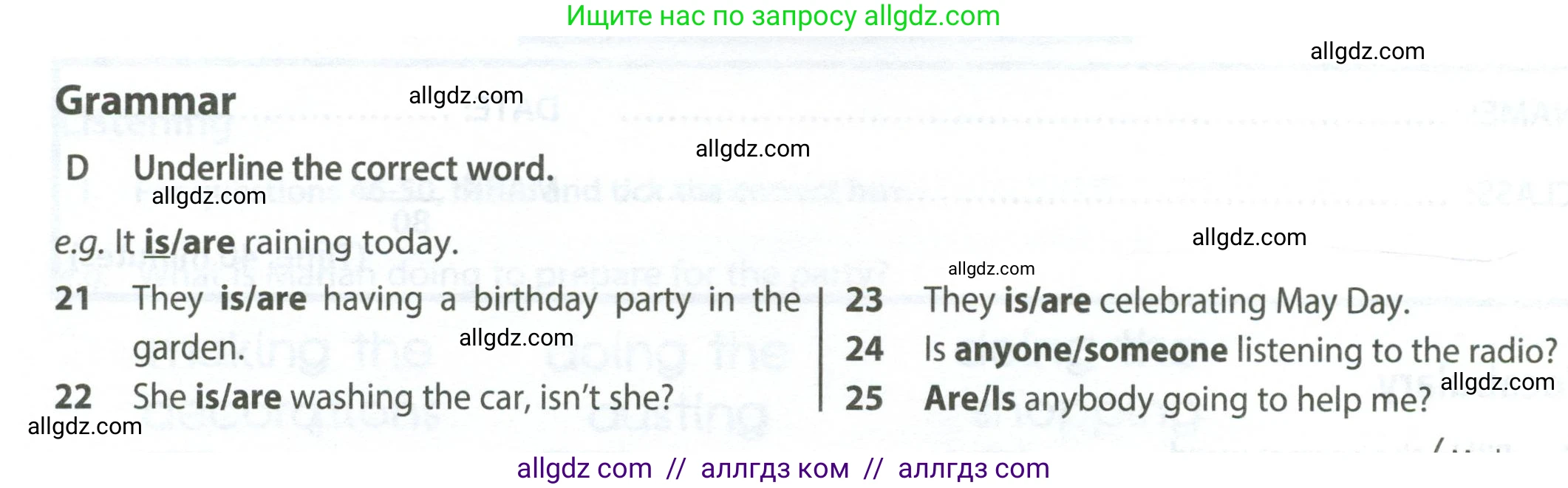 Английский язык (english), 6 класс контрольные задания (test booklet), авторы: Ваулина Юлия Евгеньевна (Vaulina Julia), Дули Дженни (Dooley Jenny), Подоляко Ольга Евгеньевна (Podolyako Olga), Эванс Вирджиния (Evans Virginia), издательство Просвещение, Москва, 2023, зелёного цвета, страница 40, номер D (21-25), Условие 2023-2027