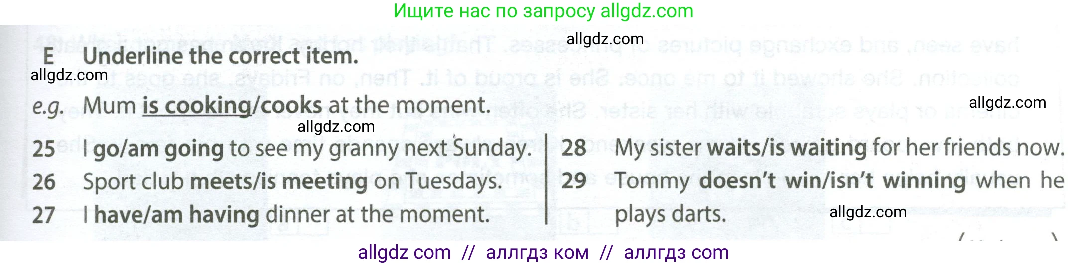 Английский язык (english), 6 класс контрольные задания (test booklet), авторы: Ваулина Юлия Евгеньевна (Vaulina Julia), Дули Дженни (Dooley Jenny), Подоляко Ольга Евгеньевна (Podolyako Olga), Эванс Вирджиния (Evans Virginia), издательство Просвещение, Москва, 2023, зелёного цвета, страница 51, номер E (25-29), Условие 2023-2027