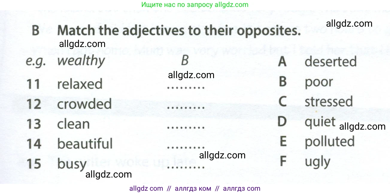 Английский язык (english), 6 класс контрольные задания (test booklet), авторы: Ваулина Юлия Евгеньевна (Vaulina Julia), Дули Дженни (Dooley Jenny), Подоляко Ольга Евгеньевна (Podolyako Olga), Эванс Вирджиния (Evans Virginia), издательство Просвещение, Москва, 2023, зелёного цвета, страница 58, номер B (11-15), Условие 2023-2027