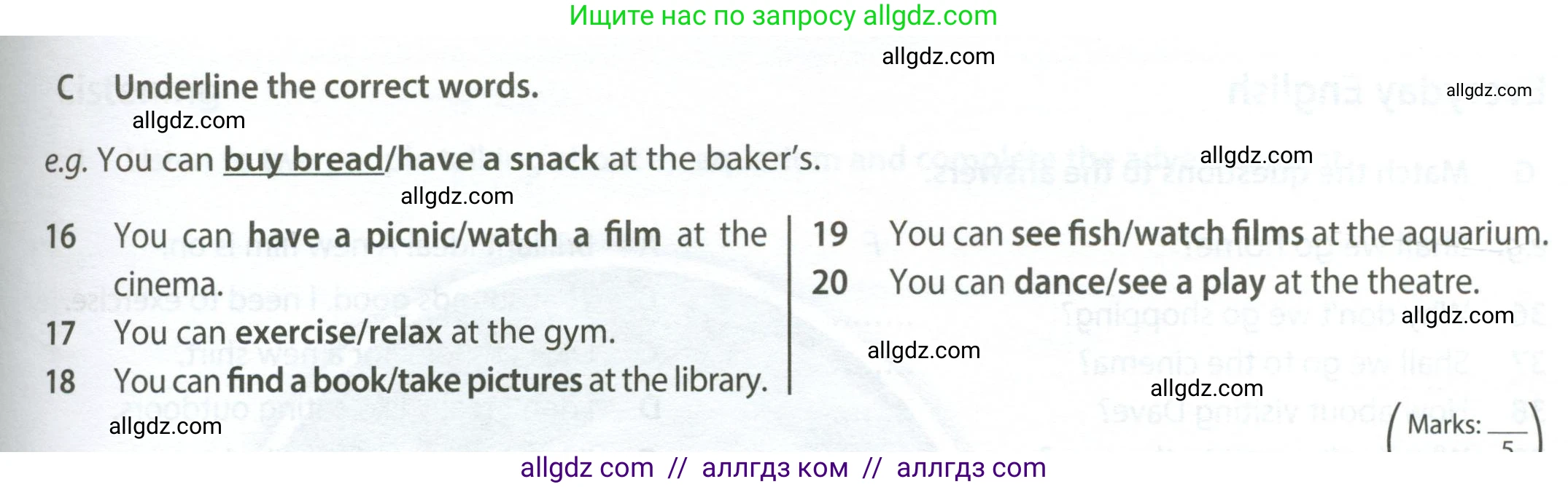 Английский язык (english), 6 класс контрольные задания (test booklet), авторы: Ваулина Юлия Евгеньевна (Vaulina Julia), Дули Дженни (Dooley Jenny), Подоляко Ольга Евгеньевна (Podolyako Olga), Эванс Вирджиния (Evans Virginia), издательство Просвещение, Москва, 2023, зелёного цвета, страница 63, номер C (16-20), Условие 2023-2027