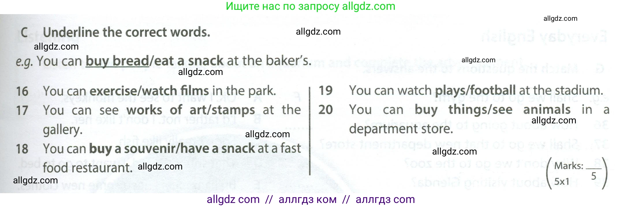 Английский язык (english), 6 класс контрольные задания (test booklet), авторы: Ваулина Юлия Евгеньевна (Vaulina Julia), Дули Дженни (Dooley Jenny), Подоляко Ольга Евгеньевна (Podolyako Olga), Эванс Вирджиния (Evans Virginia), издательство Просвещение, Москва, 2023, зелёного цвета, страница 67, номер C (16-20), Условие 2023-2027