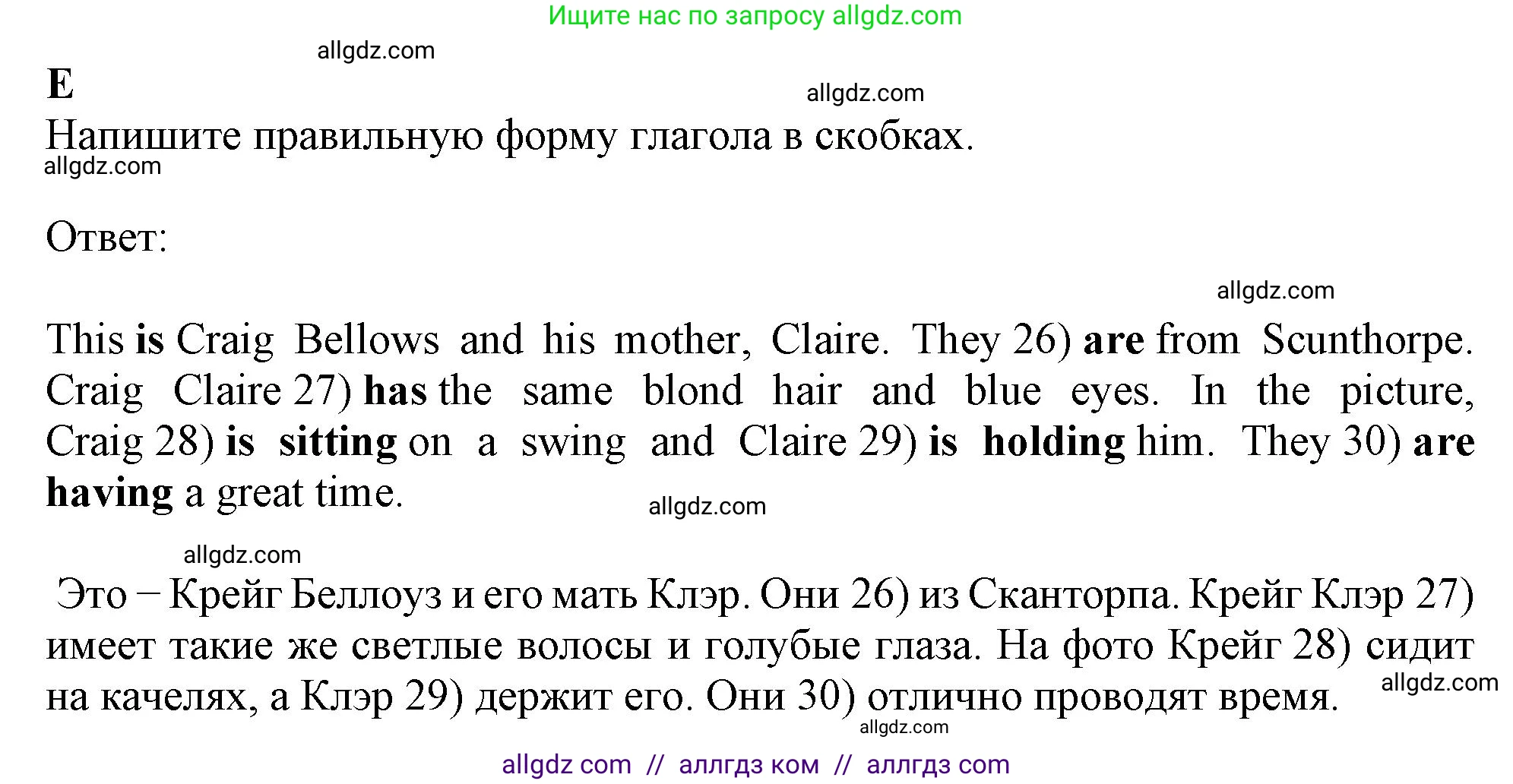 Английский язык (english), 6 класс контрольные задания (test booklet), авторы: Ваулина Юлия Евгеньевна (Vaulina Julia), Дули Дженни (Dooley Jenny), Подоляко Ольга Евгеньевна (Podolyako Olga), Эванс Вирджиния (Evans Virginia), издательство Просвещение, Москва, 2023, зелёного цвета, страница 36, номер E (26-30), Решение 1 (2023-2027)