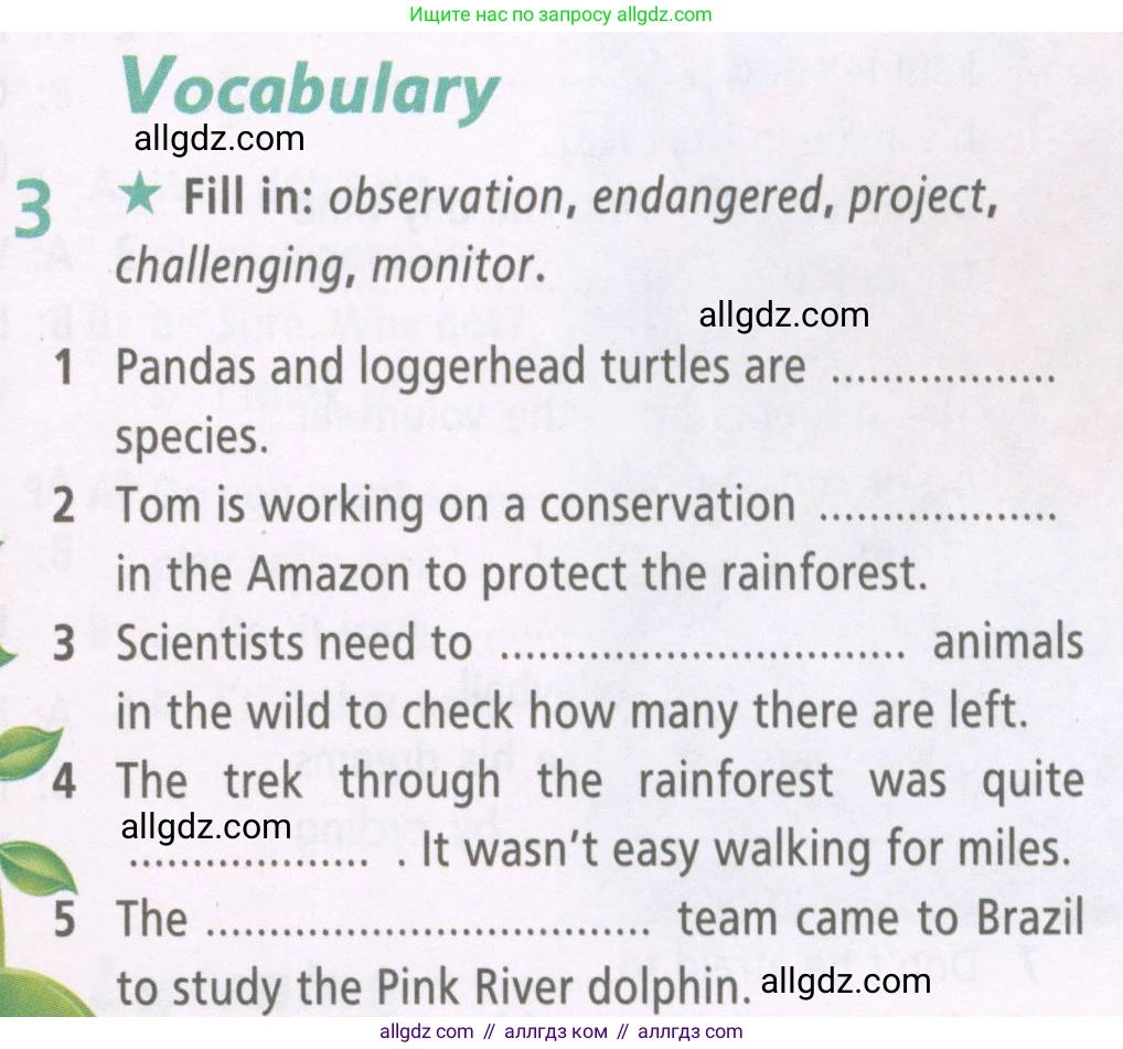 Английский язык (english), 6 класс Рабочая тетрадь (workbook), авторы: Баранова Ксения Михайловна (Baranova Ksenia), Мильруд Радислав Петрович (Millrood Radislav), Копылова Виктория Викторовна (Kopylova Victoria), Дули Дженни (Dooley Jenny), Эванс Вирджиния (Evans Virginia), издательство Просвещение, Москва, 2023, белого цвета, страница 47, номер 3, Условие