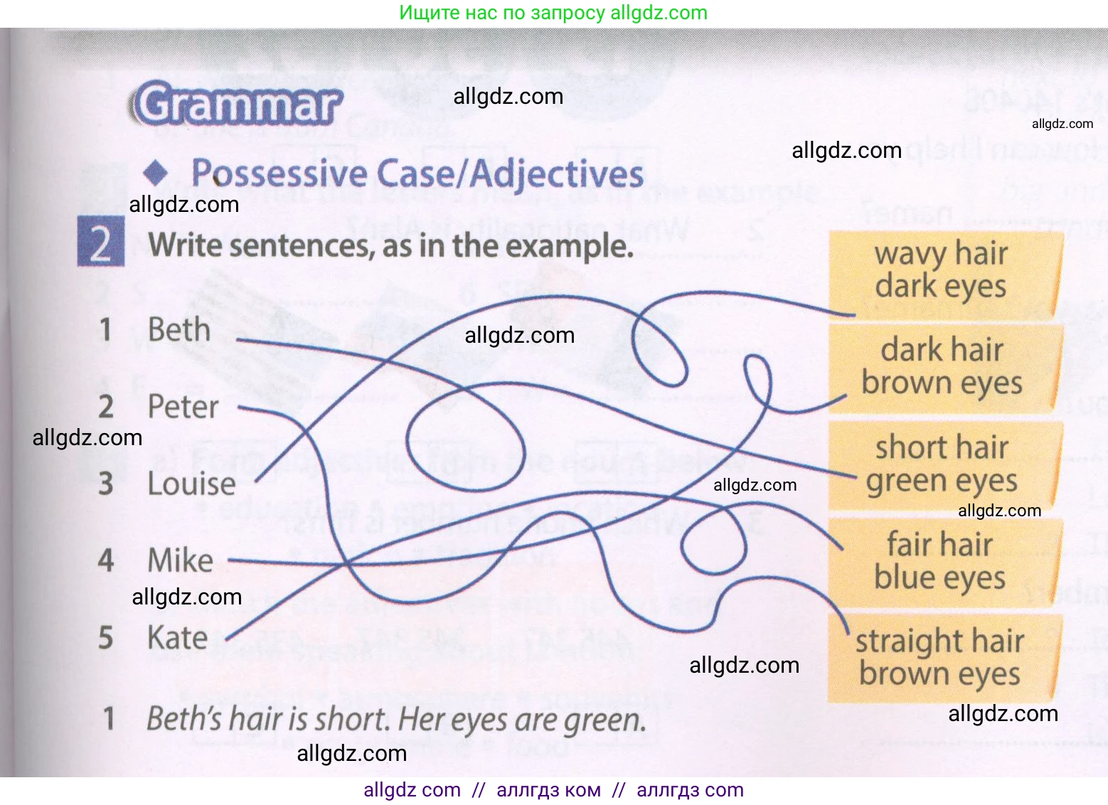 Английский язык (english), 6 класс Рабочая тетрадь (workbook), авторы: Ваулина Юлия Евгеньевна (Vaulina Julia), Дули Дженни (Dooley Jenny), Подоляко Ольга Евгеньевна (Podolyako Olga), Эванс Вирджиния (Evans Virginia), издательство Просвещение, Москва, 2023, зелёного цвета, страница 5, номер 2, Условие 2023-2027
