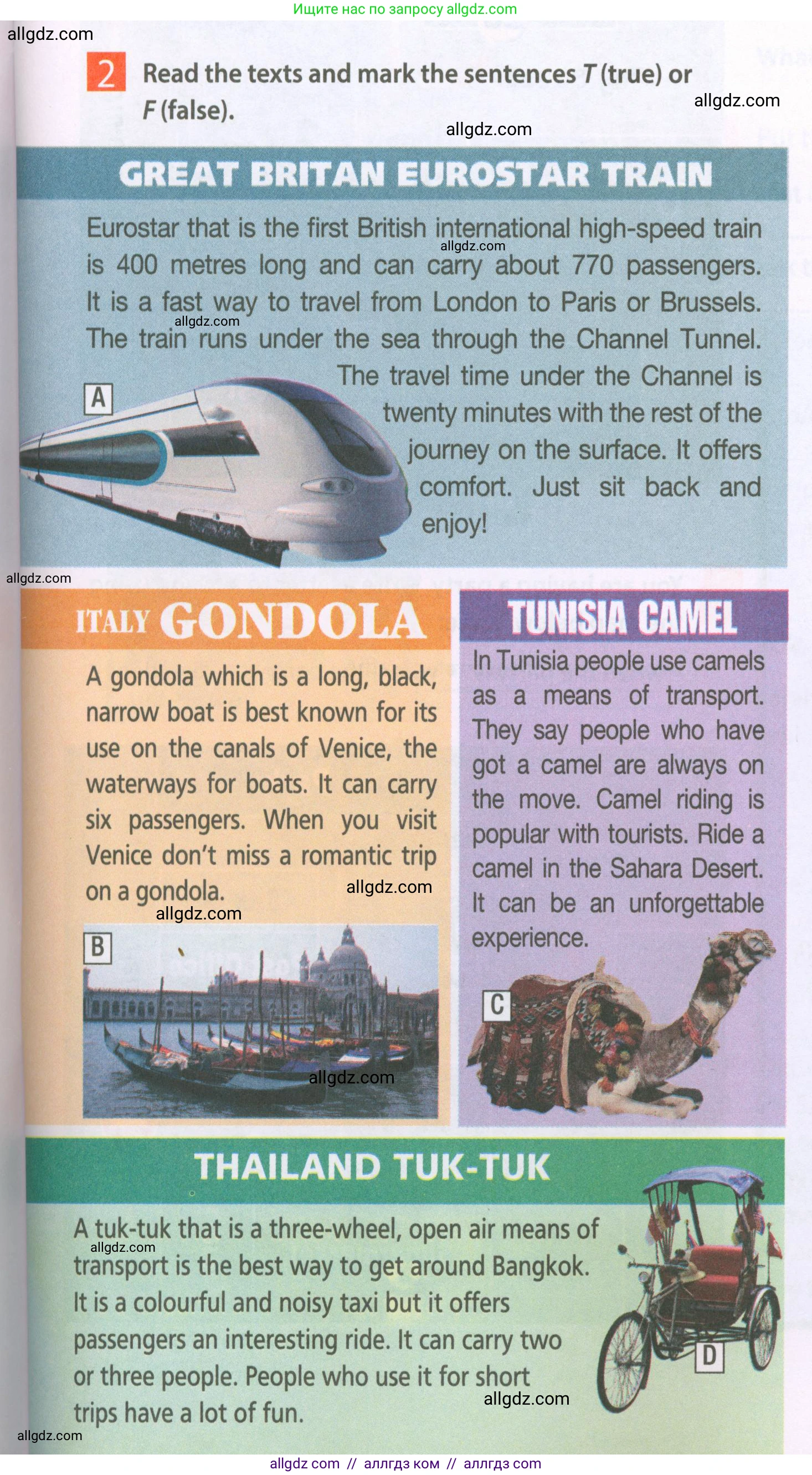 Английский язык (english), 6 класс Рабочая тетрадь (workbook), авторы: Ваулина Юлия Евгеньевна (Vaulina Julia), Дули Дженни (Dooley Jenny), Подоляко Ольга Евгеньевна (Podolyako Olga), Эванс Вирджиния (Evans Virginia), издательство Просвещение, Москва, 2023, зелёного цвета, страница 19, номер 2, Условие 2023-2027