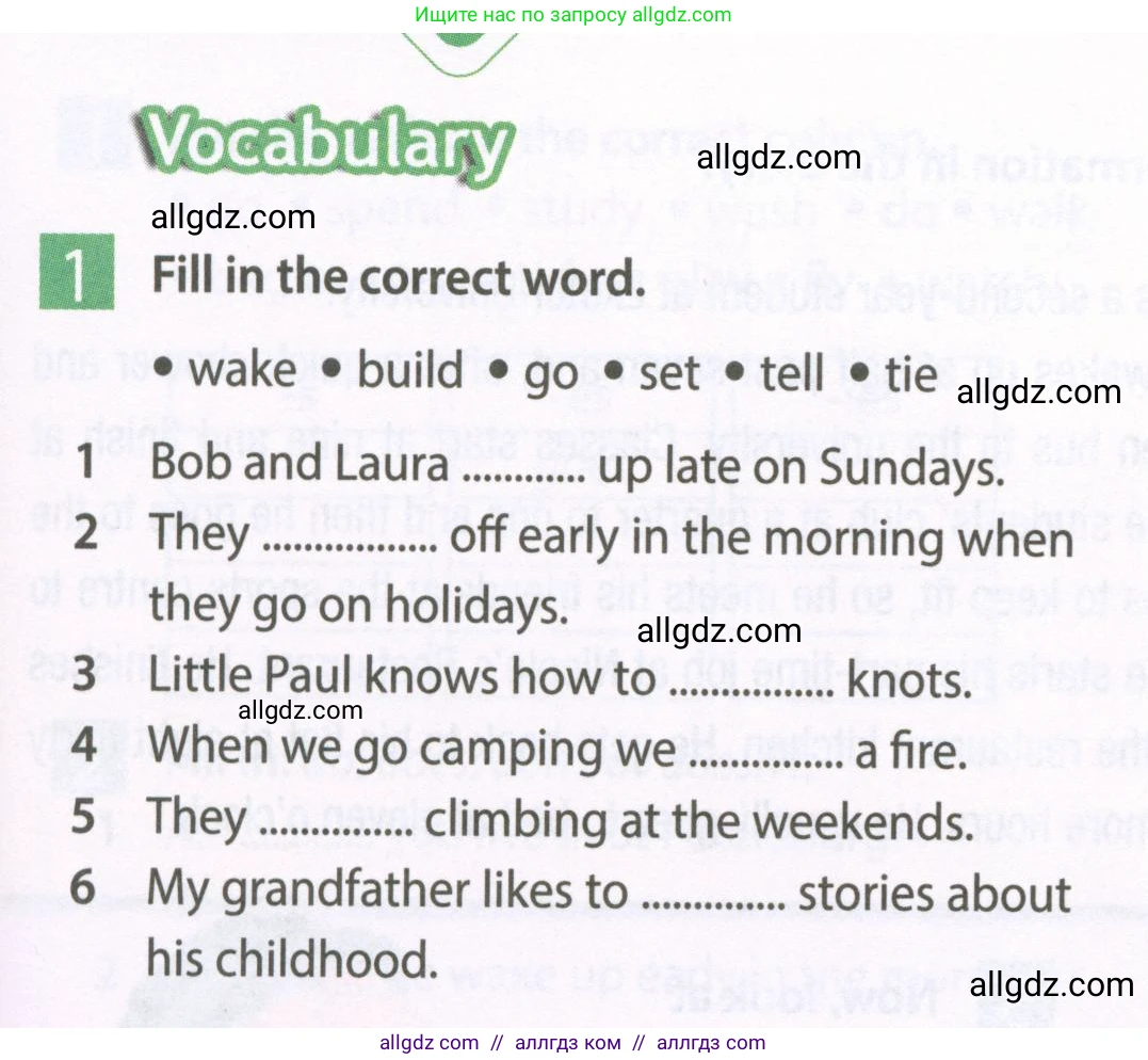 Английский язык (english), 6 класс Рабочая тетрадь (workbook), авторы: Ваулина Юлия Евгеньевна (Vaulina Julia), Дули Дженни (Dooley Jenny), Подоляко Ольга Евгеньевна (Podolyako Olga), Эванс Вирджиния (Evans Virginia), издательство Просвещение, Москва, 2023, зелёного цвета, страница 25, номер 1, Условие 2023-2027