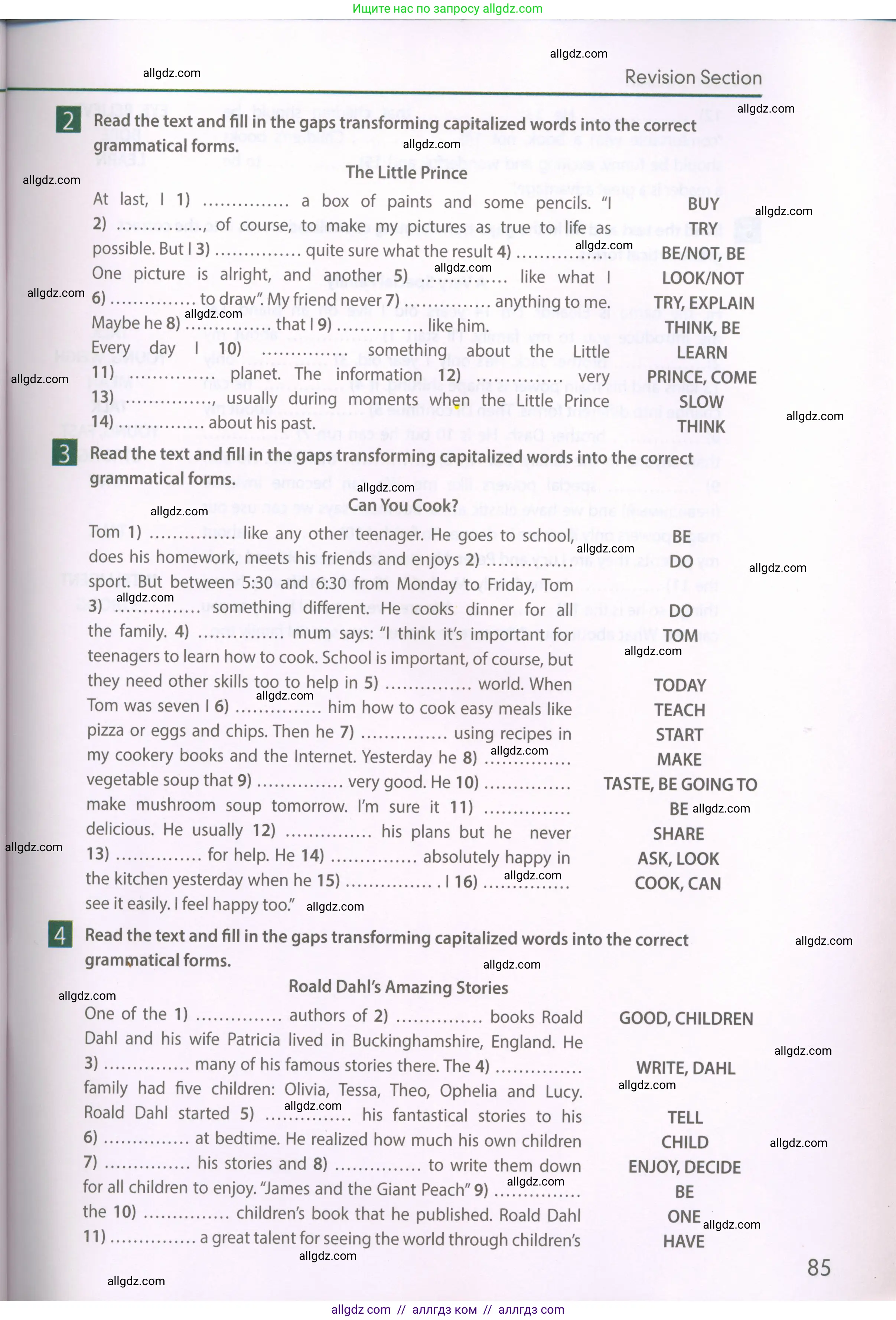 Английский язык (english), 6 класс Рабочая тетрадь (workbook), авторы: Ваулина Юлия Евгеньевна (Vaulina Julia), Дули Дженни (Dooley Jenny), Подоляко Ольга Евгеньевна (Podolyako Olga), Эванс Вирджиния (Evans Virginia), издательство Просвещение, Москва, 2023, зелёного цвета, страница 85