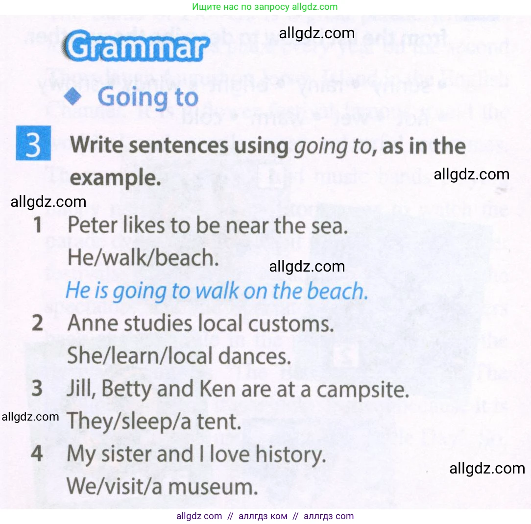 Английский язык (english), 6 класс Рабочая тетрадь (workbook), авторы: Ваулина Юлия Евгеньевна (Vaulina Julia), Дули Дженни (Dooley Jenny), Подоляко Ольга Евгеньевна (Podolyako Olga), Эванс Вирджиния (Evans Virginia), издательство Просвещение, Москва, 2023, зелёного цвета, страница 59, номер 3, Условие 2023-2027