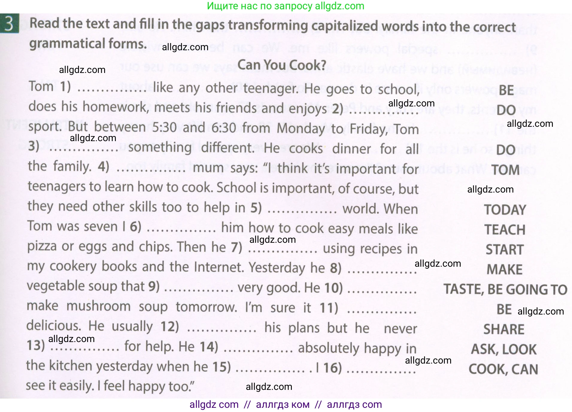 Английский язык (english), 6 класс Рабочая тетрадь (workbook), авторы: Ваулина Юлия Евгеньевна (Vaulina Julia), Дули Дженни (Dooley Jenny), Подоляко Ольга Евгеньевна (Podolyako Olga), Эванс Вирджиния (Evans Virginia), издательство Просвещение, Москва, 2023, зелёного цвета, страница 85, номер 3, Условие 2023-2027