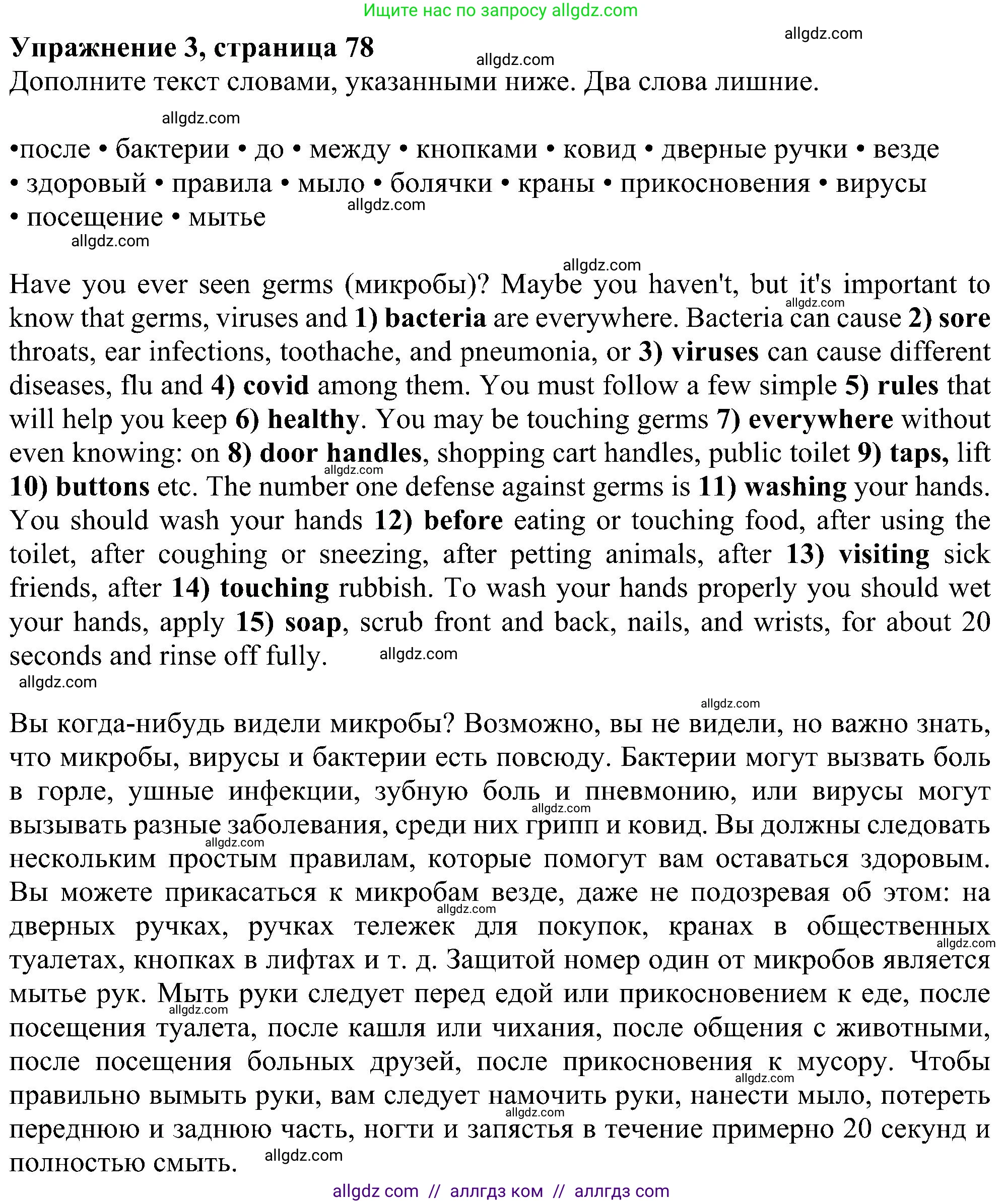 Английский язык (english), 6 класс Рабочая тетрадь (workbook), авторы: Ваулина Юлия Евгеньевна (Vaulina Julia), Дули Дженни (Dooley Jenny), Подоляко Ольга Евгеньевна (Podolyako Olga), Эванс Вирджиния (Evans Virginia), издательство Просвещение, Москва, 2023, зелёного цвета, страница 78, номер 3, Решение 1 (2023-2027)