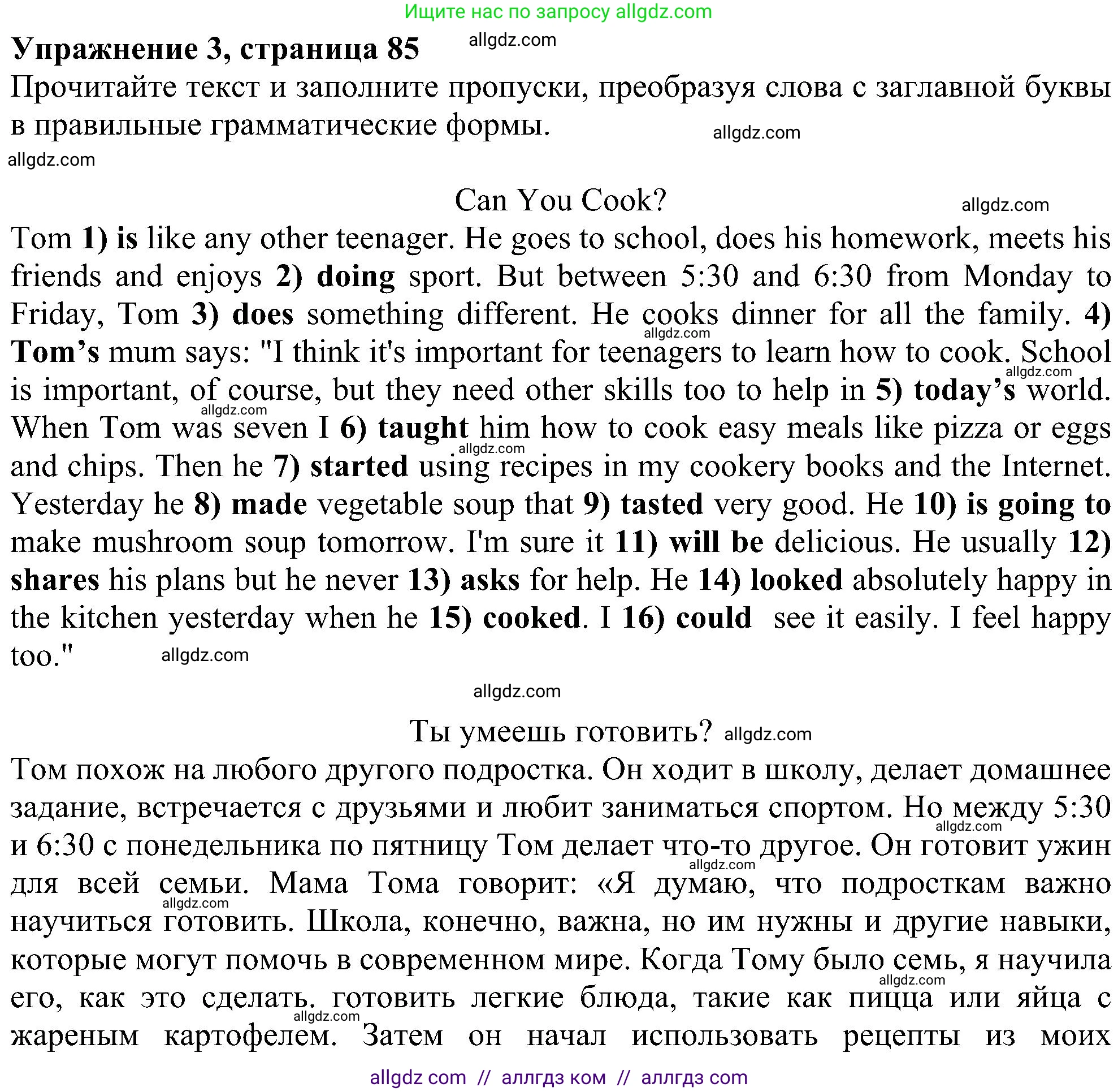 Английский язык (english), 6 класс Рабочая тетрадь (workbook), авторы: Ваулина Юлия Евгеньевна (Vaulina Julia), Дули Дженни (Dooley Jenny), Подоляко Ольга Евгеньевна (Podolyako Olga), Эванс Вирджиния (Evans Virginia), издательство Просвещение, Москва, 2023, зелёного цвета, страница 85, номер 3, Решение 1 (2023-2027)