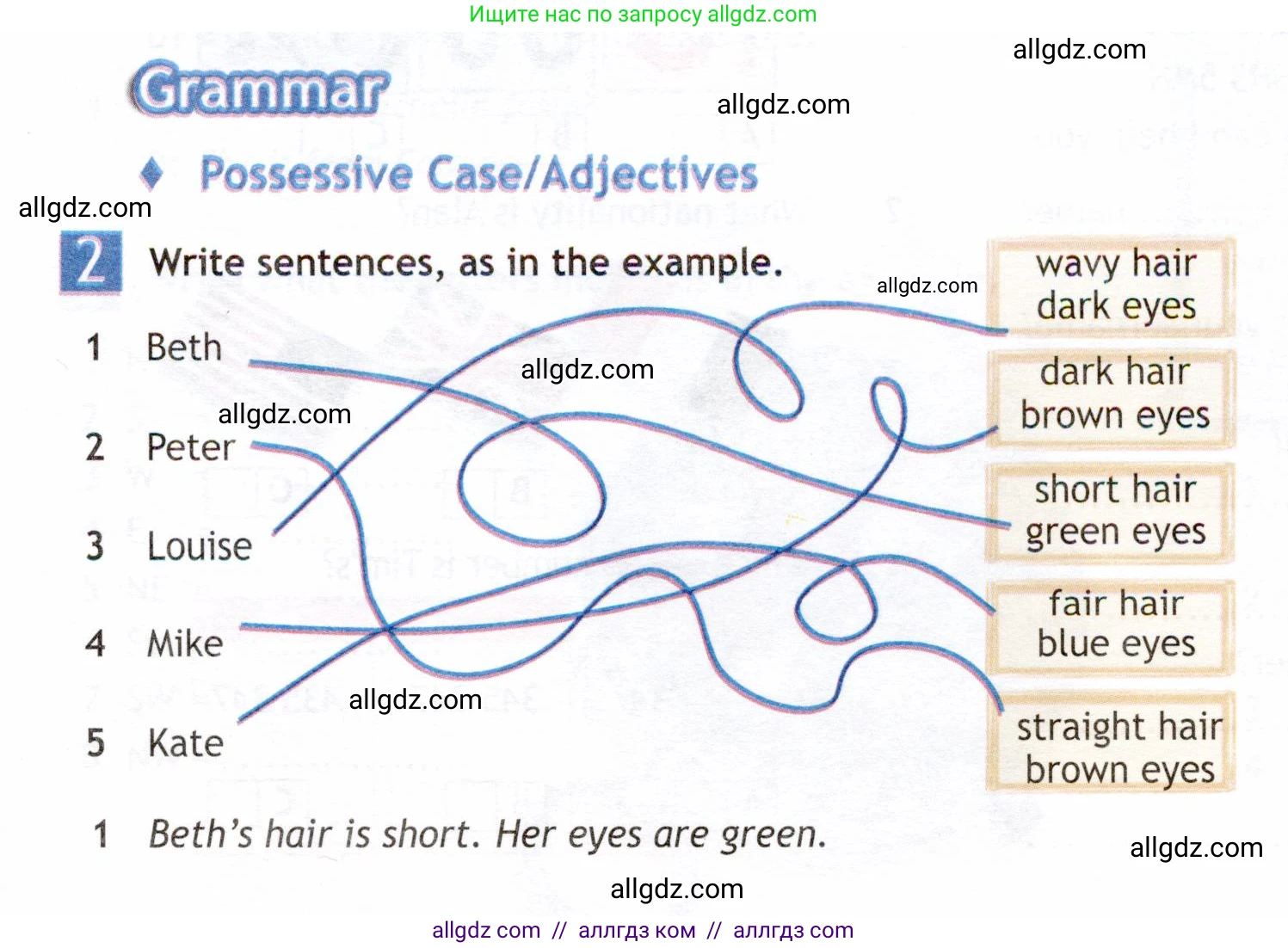 Английский язык (english), 6 класс Рабочая тетрадь (workbook), авторы: Ваулина Юлия Евгеньевна (Vaulina Julia), Дули Дженни (Dooley Jenny), Подоляко Ольга Евгеньевна (Podolyako Olga), Эванс Вирджиния (Evans Virginia), издательство Просвещение, Москва, 2023, зелёного цвета, страница 5, номер 2, Условие 2019-2022