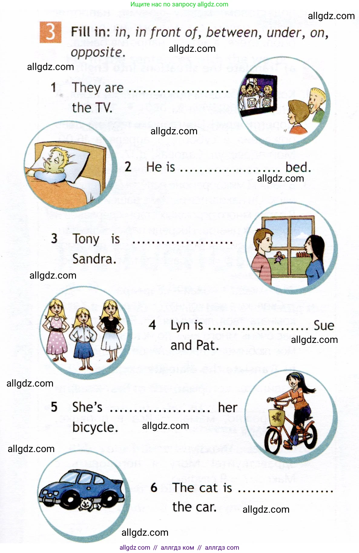 Английский язык (english), 6 класс Рабочая тетрадь (workbook), авторы: Ваулина Юлия Евгеньевна (Vaulina Julia), Дули Дженни (Dooley Jenny), Подоляко Ольга Евгеньевна (Podolyako Olga), Эванс Вирджиния (Evans Virginia), издательство Просвещение, Москва, 2023, зелёного цвета, страница 15, номер 3, Условие 2019-2022