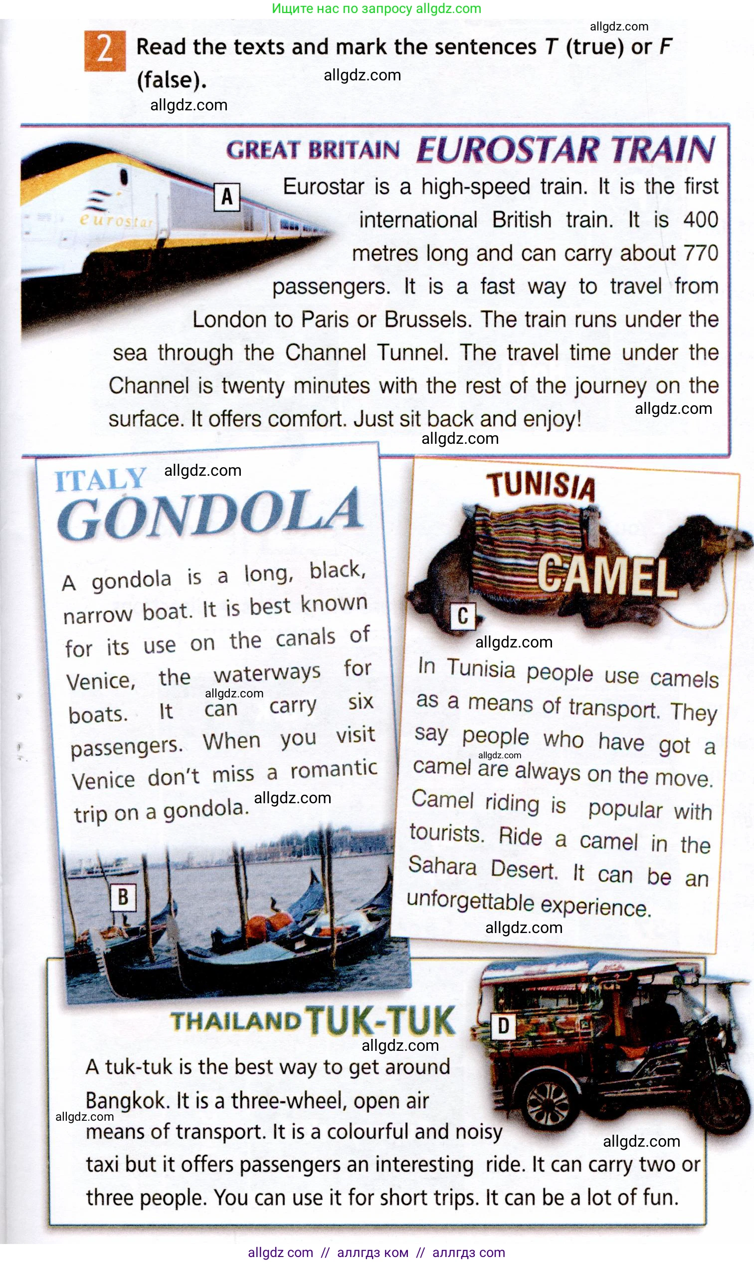 Английский язык (english), 6 класс Рабочая тетрадь (workbook), авторы: Ваулина Юлия Евгеньевна (Vaulina Julia), Дули Дженни (Dooley Jenny), Подоляко Ольга Евгеньевна (Podolyako Olga), Эванс Вирджиния (Evans Virginia), издательство Просвещение, Москва, 2023, зелёного цвета, страница 19, номер 2, Условие 2019-2022