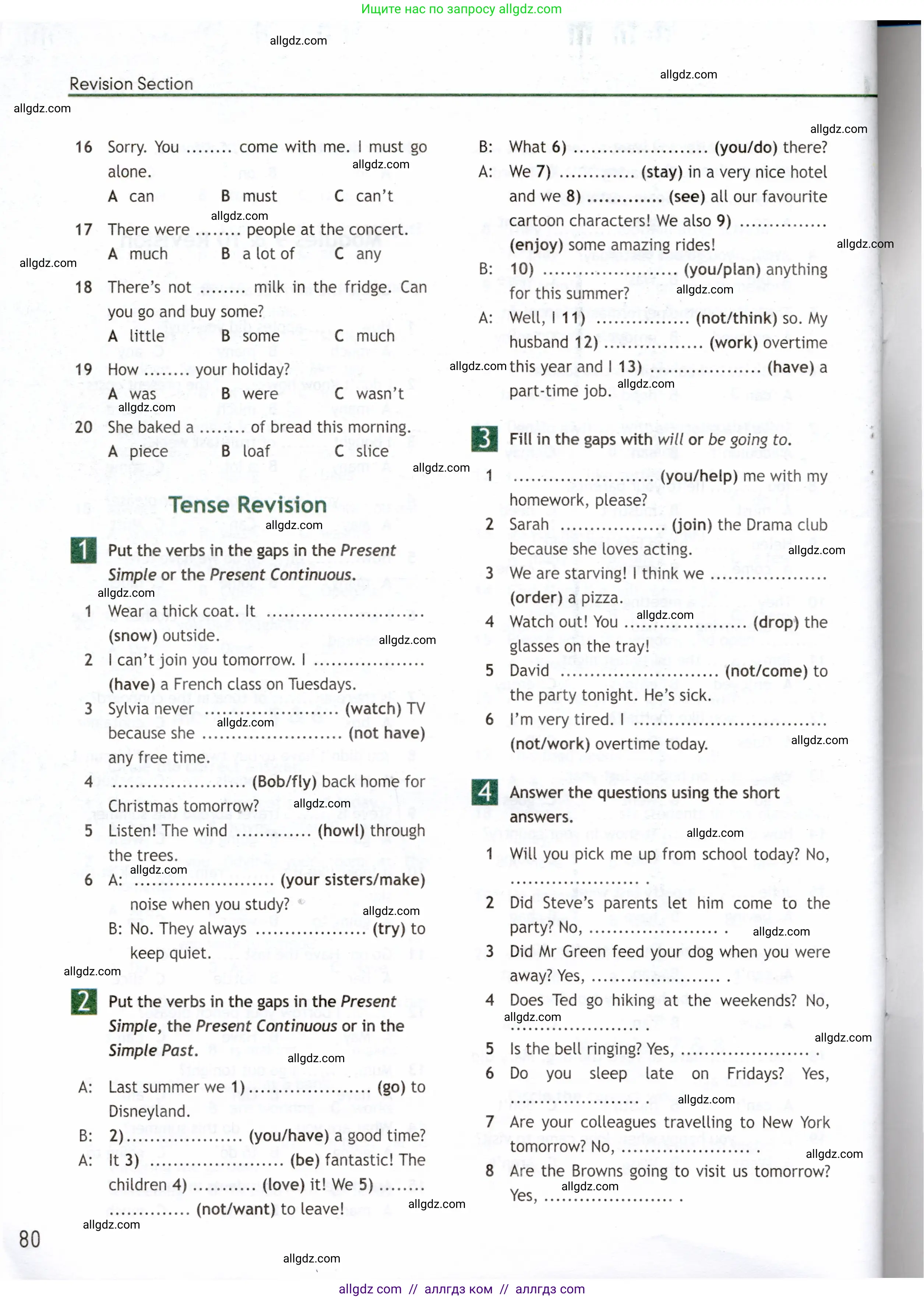 Английский язык (english), 6 класс Рабочая тетрадь (workbook), авторы: Ваулина Юлия Евгеньевна (Vaulina Julia), Дули Дженни (Dooley Jenny), Подоляко Ольга Евгеньевна (Podolyako Olga), Эванс Вирджиния (Evans Virginia), издательство Просвещение, Москва, 2023, зелёного цвета, страница 80