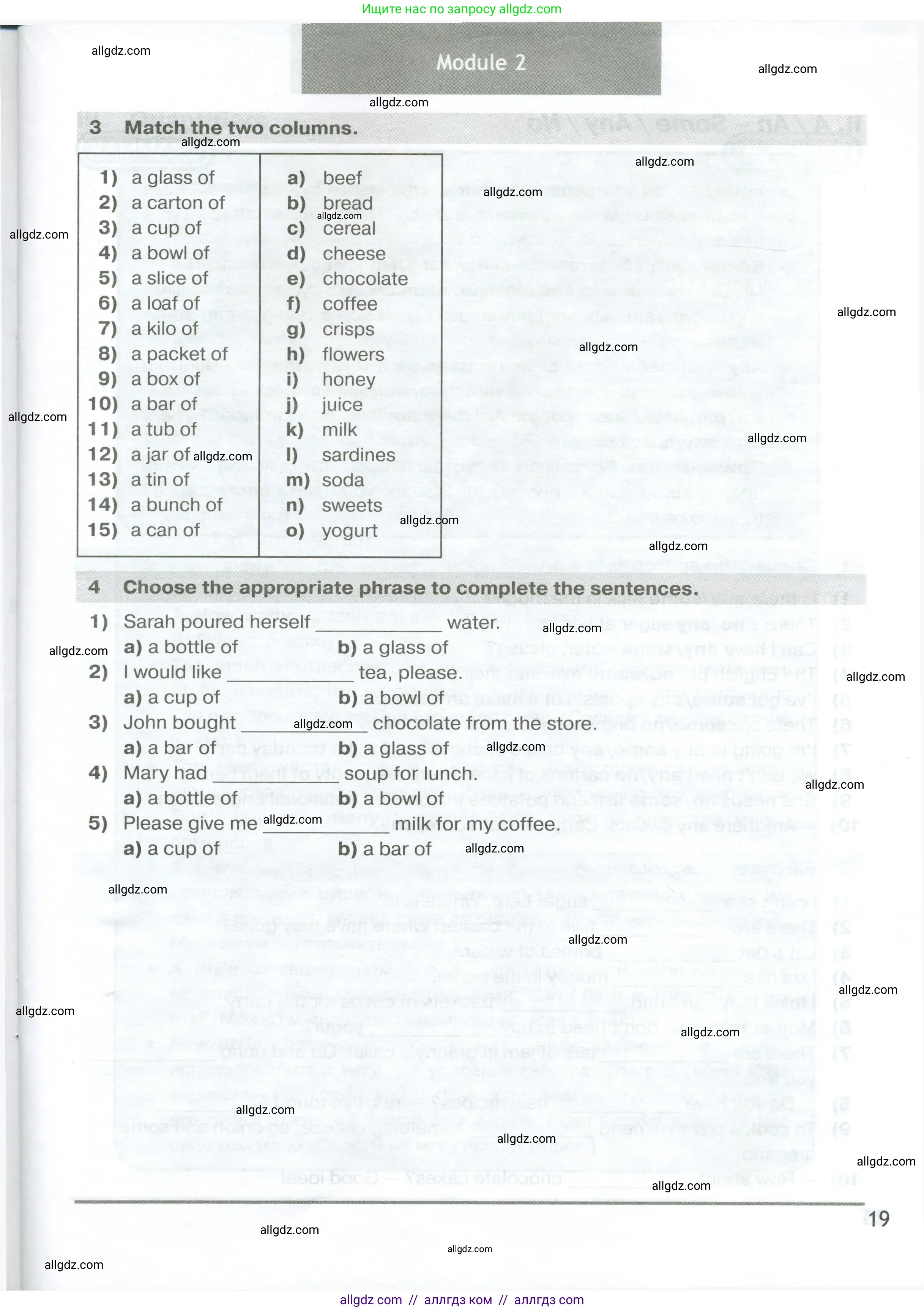 Английский язык (english), 6 класс сборник грамматических упражнений, автор: Смирнов Алексей Валерьевич, издательство Просвещение, Москва, 2023, оранжевого цвета, страница 19