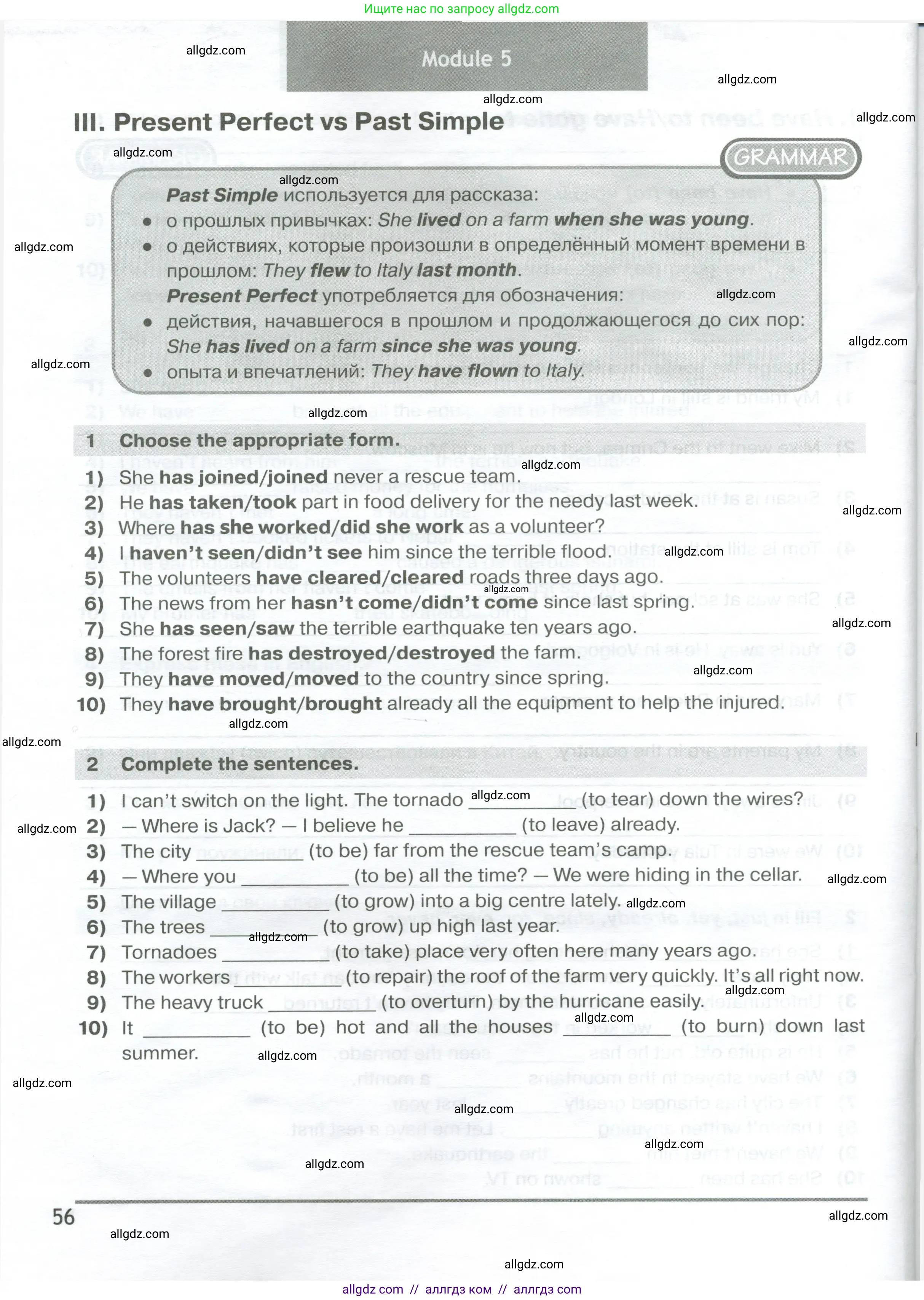 Английский язык (english), 6 класс сборник грамматических упражнений, автор: Смирнов Алексей Валерьевич, издательство Просвещение, Москва, 2023, оранжевого цвета, страница 56