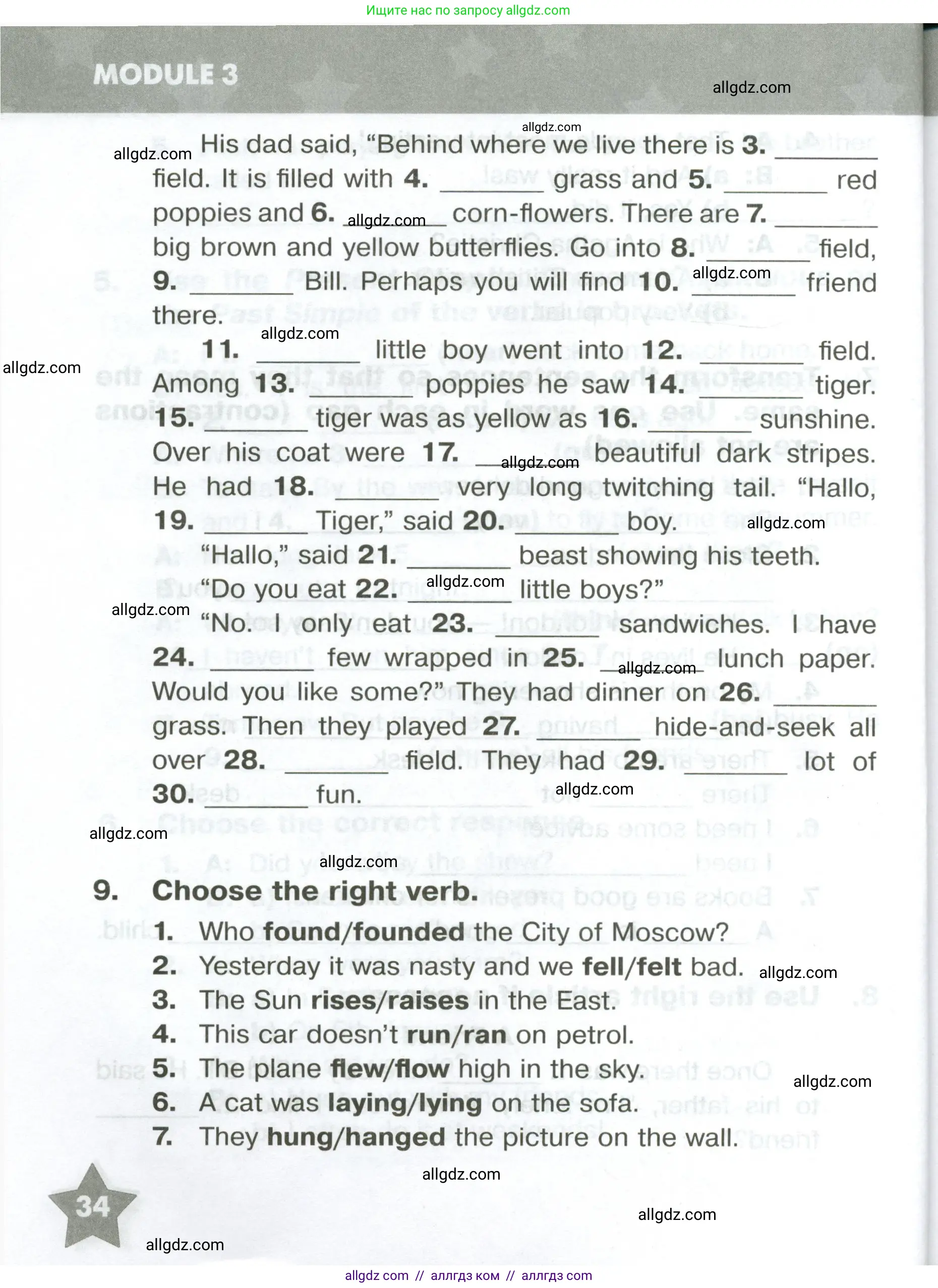 Английский язык (english), 6 класс Тренировочные упражнения в формате ОГЭ (ГИА), авторы: Комиссаров Константин Вячеславович, Кирдяева Ольга Ивановна, издательство Просвещение, Москва, 2023, белого цвета, страница 34