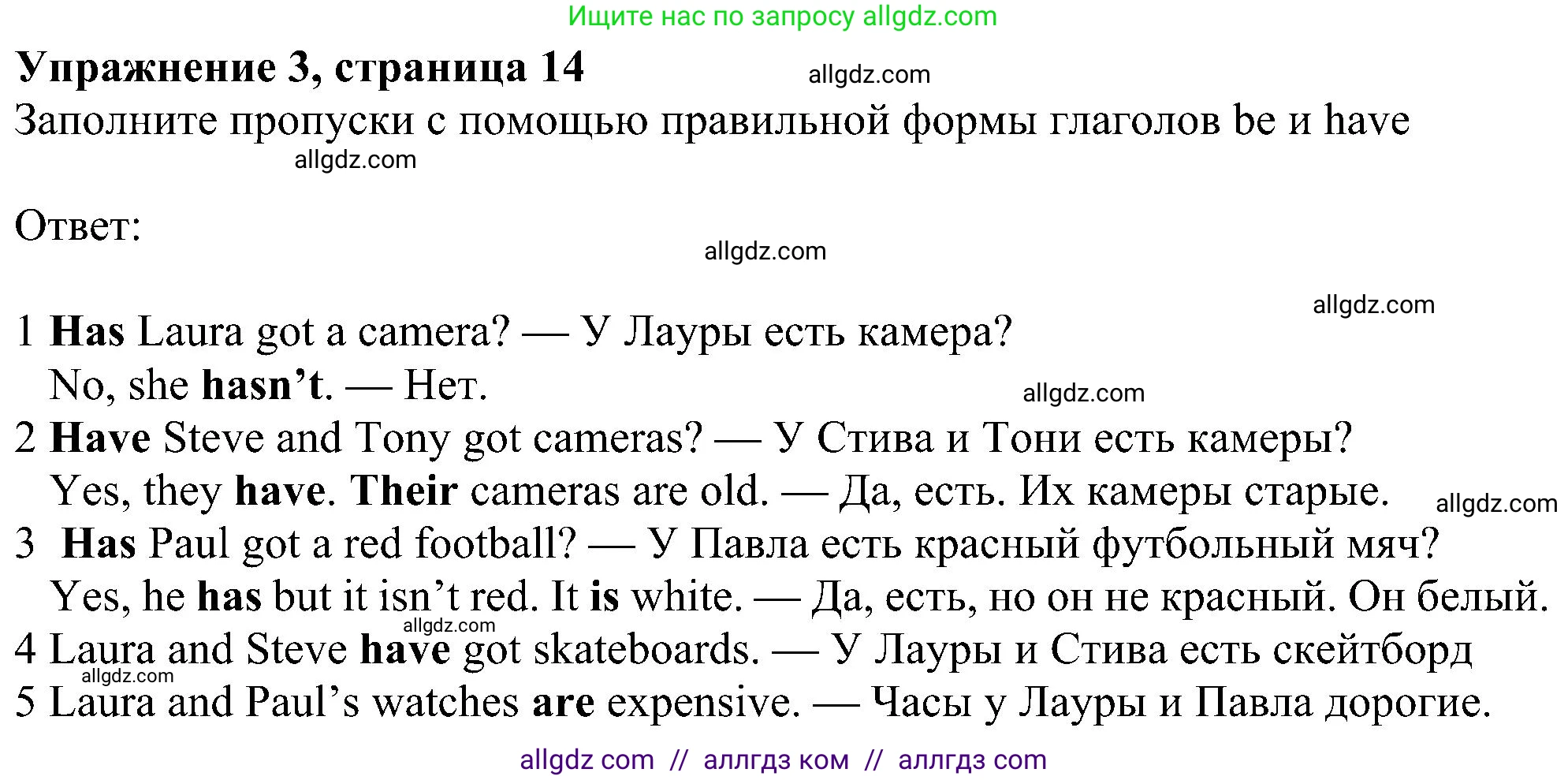 Английский язык (english), 6 класс Учебник (Student's book), авторы: Ваулина Юлия Евгеньевна (Vaulina Julia), Дули Дженни (Dooley Jenny), Подоляко Ольга Евгеньевна (Podolyako Olga), Эванс Вирджиния (Evans Virginia), издательство Просвещение, Москва, 2023, зелёного цвета, страница 14, номер 3, Решение 1 (2023-2027)