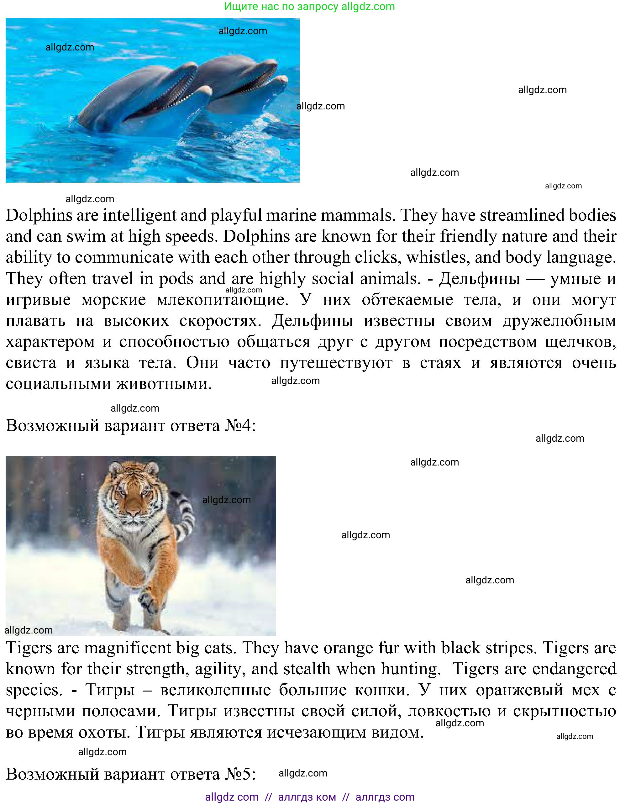 Английский язык (english), 6 класс Учебник (Student's book), авторы: Ваулина Юлия Евгеньевна (Vaulina Julia), Дули Дженни (Dooley Jenny), Подоляко Ольга Евгеньевна (Podolyako Olga), Эванс Вирджиния (Evans Virginia), издательство Просвещение, Москва, 2023, зелёного цвета, страница 114, Решение 1 (2023-2027) (продолжение 4)