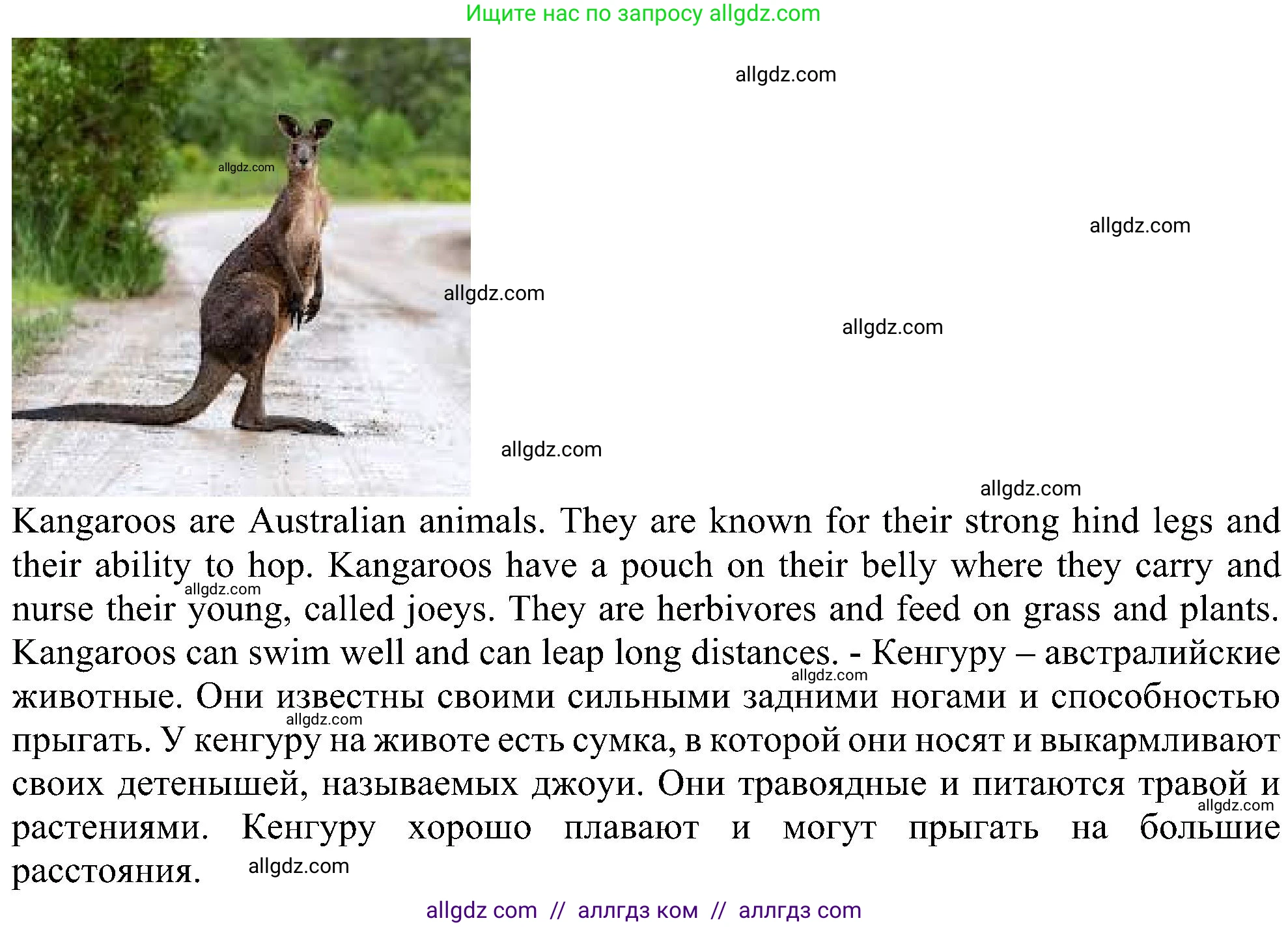 Английский язык (english), 6 класс Учебник (Student's book), авторы: Ваулина Юлия Евгеньевна (Vaulina Julia), Дули Дженни (Dooley Jenny), Подоляко Ольга Евгеньевна (Podolyako Olga), Эванс Вирджиния (Evans Virginia), издательство Просвещение, Москва, 2023, зелёного цвета, страница 114, Решение 1 (2023-2027) (продолжение 5)
