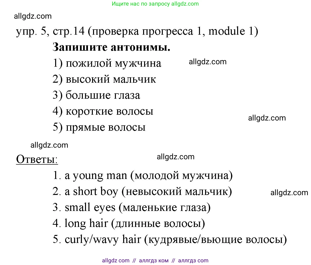 Английский язык (english), 6 класс Учебник (Student's book), авторы: Ваулина Юлия Евгеньевна (Vaulina Julia), Дули Дженни (Dooley Jenny), Подоляко Ольга Евгеньевна (Podolyako Olga), Эванс Вирджиния (Evans Virginia), издательство Просвещение, Москва, 2023, зелёного цвета, страница 14, номер 5, Решение 2 (2023-2027)