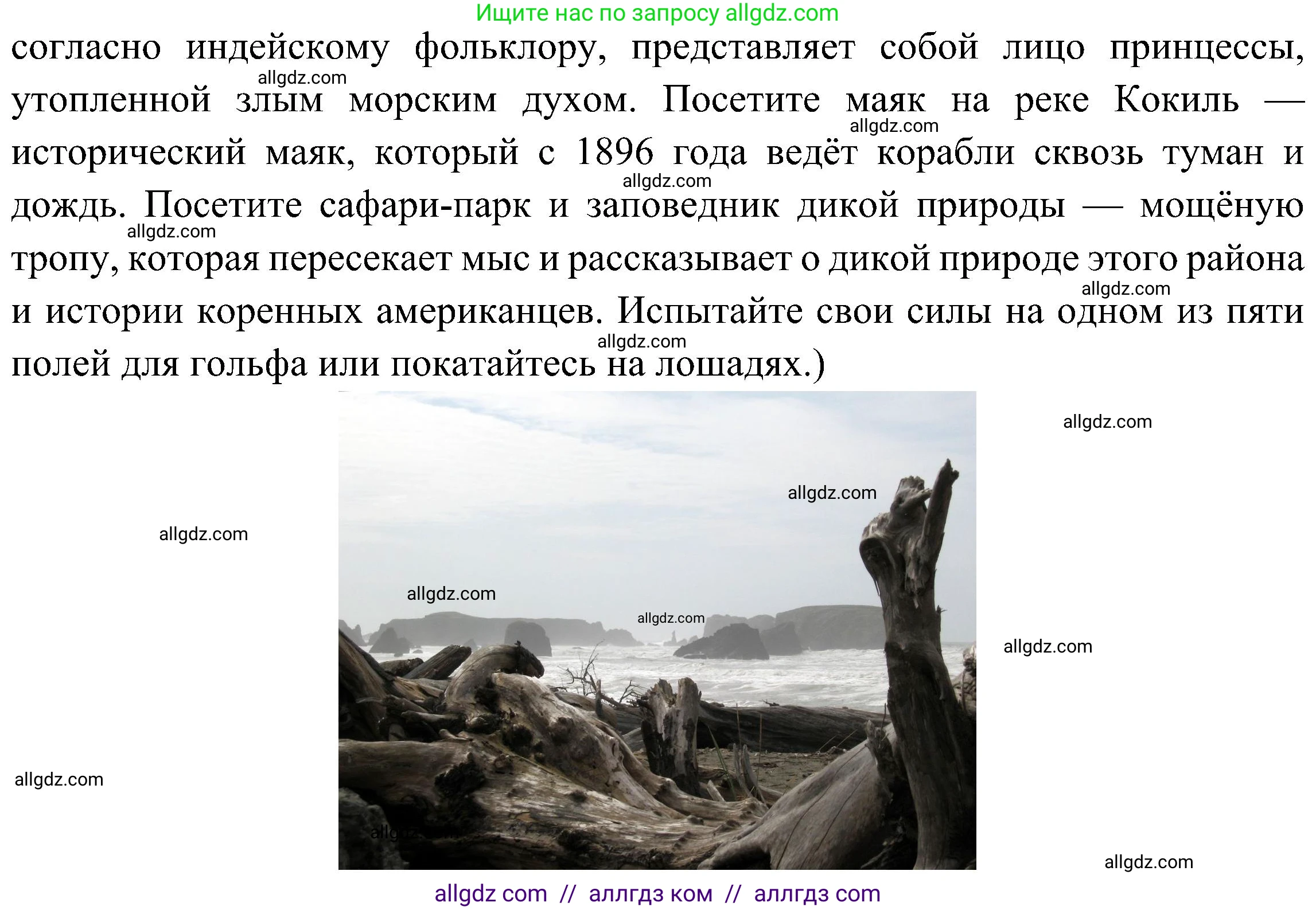 Английский язык (english), 6 класс Учебник (Student's book), авторы: Ваулина Юлия Евгеньевна (Vaulina Julia), Дули Дженни (Dooley Jenny), Подоляко Ольга Евгеньевна (Podolyako Olga), Эванс Вирджиния (Evans Virginia), издательство Просвещение, Москва, 2023, зелёного цвета, страница 103, номер 5, Решение 2 (2023-2027) (продолжение 5)