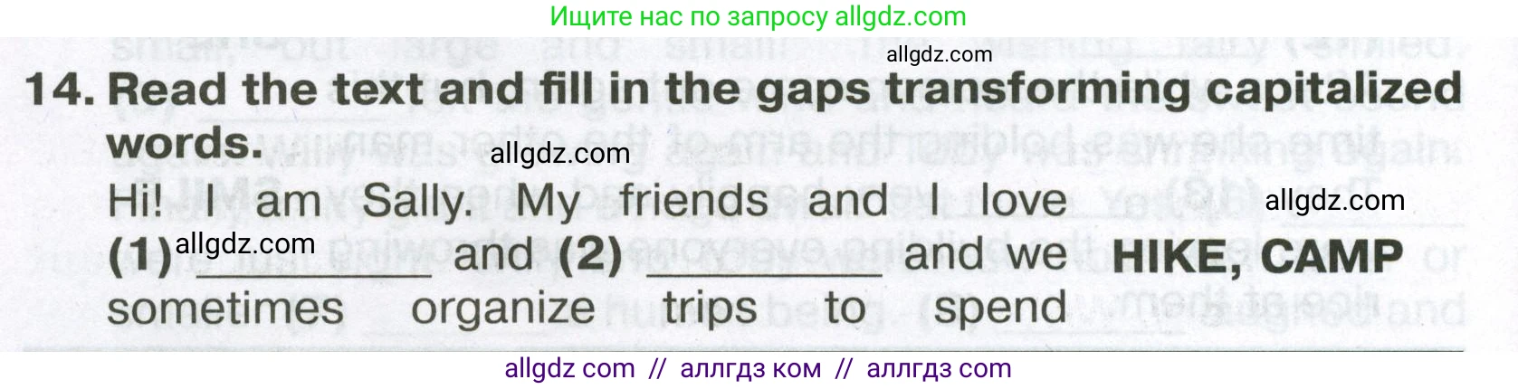 Английский язык (english), 6 класс Тренировочные упражнения в формате ОГЭ (ГИА), авторы: Ваулина Юлия Евгеньевна (Vaulina Julia), Подоляко Ольга Евгеньевна (Podolyako Olga), издательство Просвещение, Москва, 2023, зелёного цвета, страница 106, номер 14, Условие