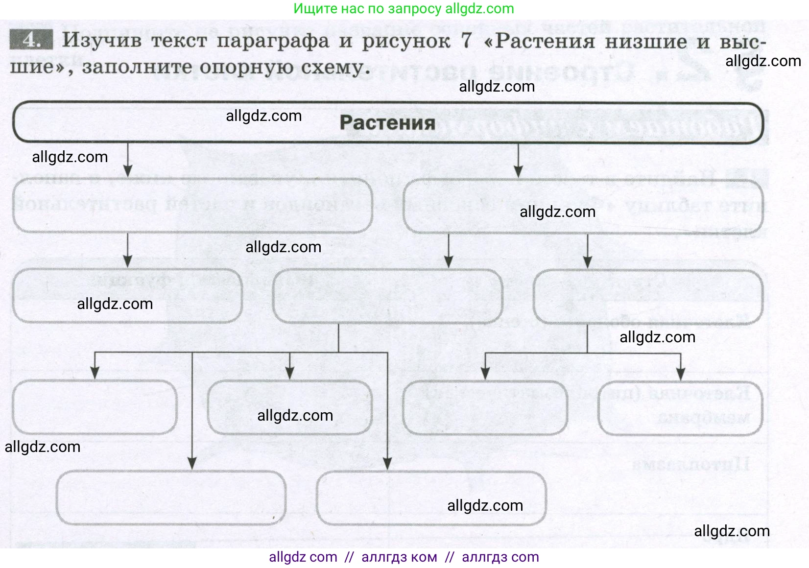 Биология, 6 класс рабочая тетрадь, авторы: Пасечник Владимир Васильевич, Суматохин Сергей Витальевич, Швецов Глеб Геннадьевич, Гапонюк Зоя Георгиевна, Косарькова Марина Викторовна, издательство Просвещение, Москва, 2023, белого цвета, страница 7, номер 4, Условие