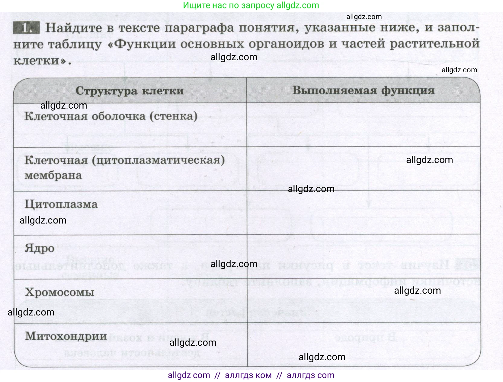 Биология, 6 класс рабочая тетрадь, авторы: Пасечник Владимир Васильевич, Суматохин Сергей Витальевич, Швецов Глеб Геннадьевич, Гапонюк Зоя Георгиевна, Косарькова Марина Викторовна, издательство Просвещение, Москва, 2023, белого цвета, страница 8, номер 1, Условие
