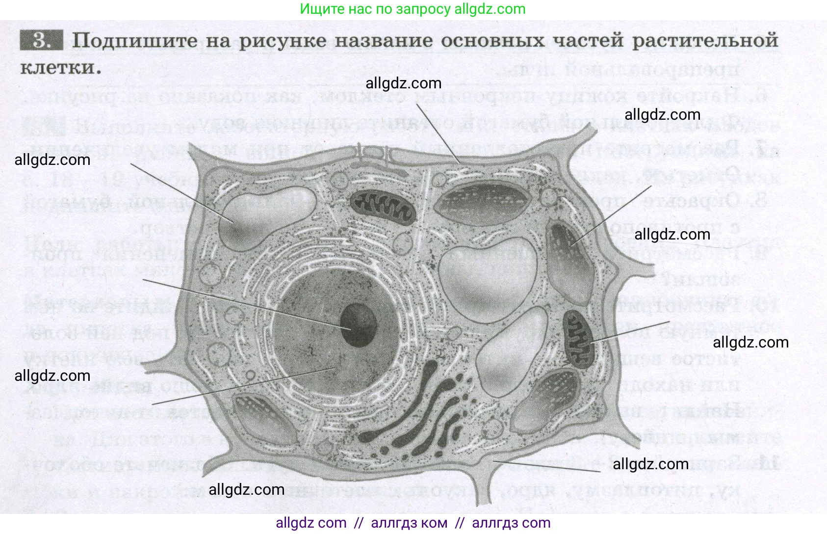 Биология, 6 класс рабочая тетрадь, авторы: Пасечник Владимир Васильевич, Суматохин Сергей Витальевич, Швецов Глеб Геннадьевич, Гапонюк Зоя Георгиевна, Косарькова Марина Викторовна, издательство Просвещение, Москва, 2023, белого цвета, страница 9, номер 3, Условие