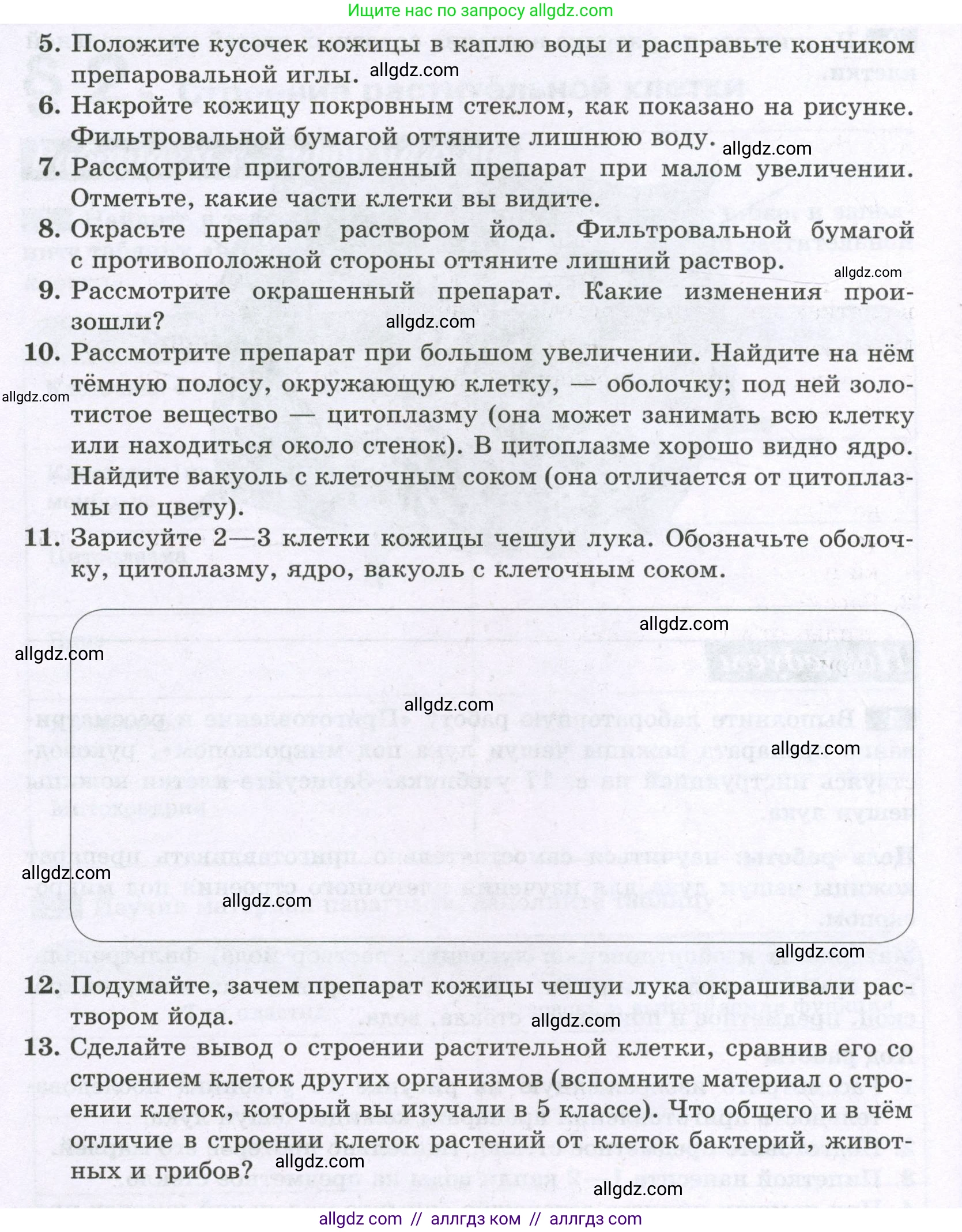 Биология, 6 класс рабочая тетрадь, авторы: Пасечник Владимир Васильевич, Суматохин Сергей Витальевич, Швецов Глеб Геннадьевич, Гапонюк Зоя Георгиевна, Косарькова Марина Викторовна, издательство Просвещение, Москва, 2023, белого цвета, страница 9, номер 4, Условие (продолжение 2)