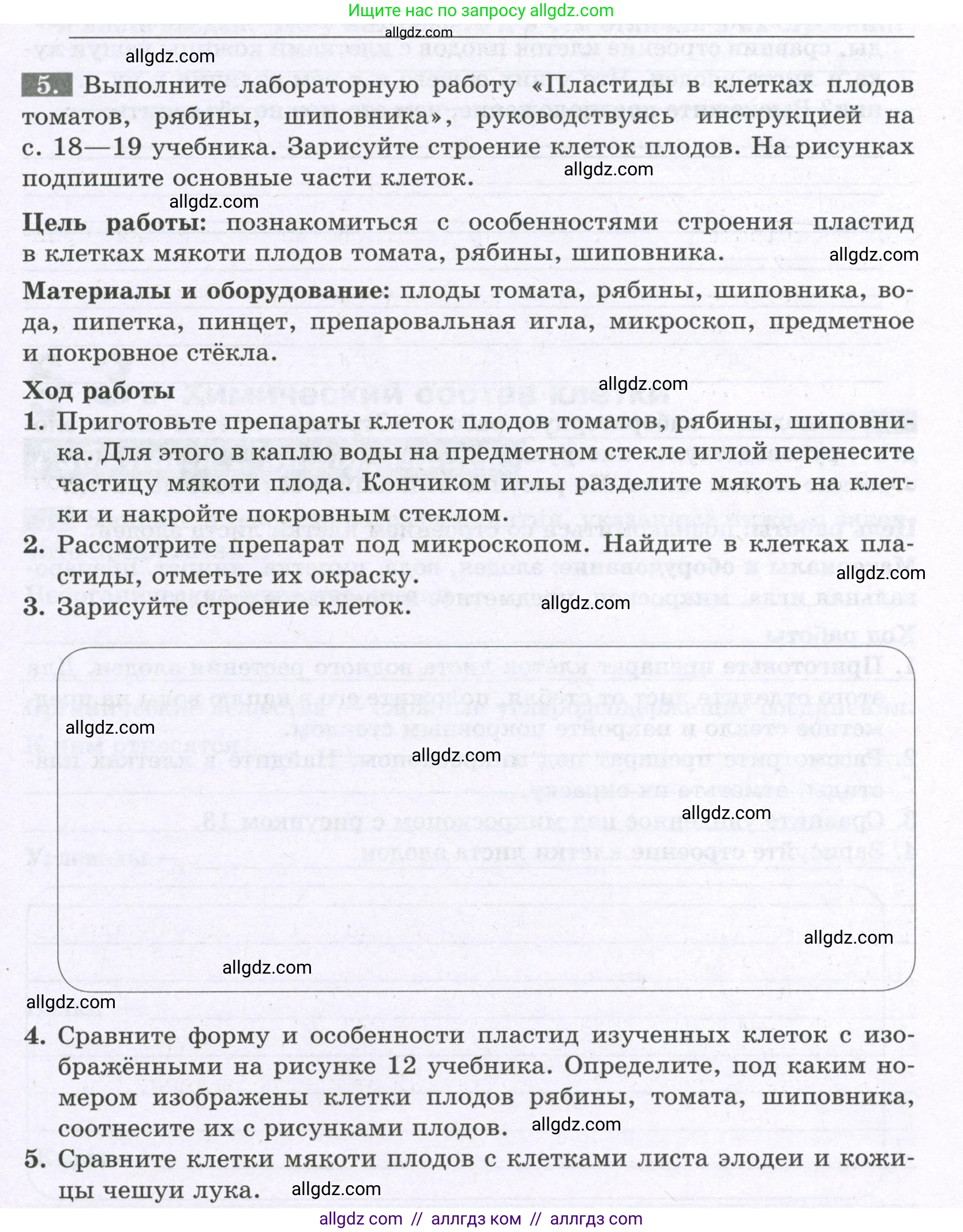 Биология, 6 класс рабочая тетрадь, авторы: Пасечник Владимир Васильевич, Суматохин Сергей Витальевич, Швецов Глеб Геннадьевич, Гапонюк Зоя Георгиевна, Косарькова Марина Викторовна, издательство Просвещение, Москва, 2023, белого цвета, страница 11, номер 5, Условие