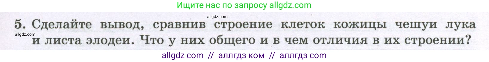 Биология, 6 класс рабочая тетрадь, авторы: Пасечник Владимир Васильевич, Суматохин Сергей Витальевич, Швецов Глеб Геннадьевич, Гапонюк Зоя Георгиевна, Косарькова Марина Викторовна, издательство Просвещение, Москва, 2023, белого цвета, страница 12, номер 6, Условие (продолжение 2)