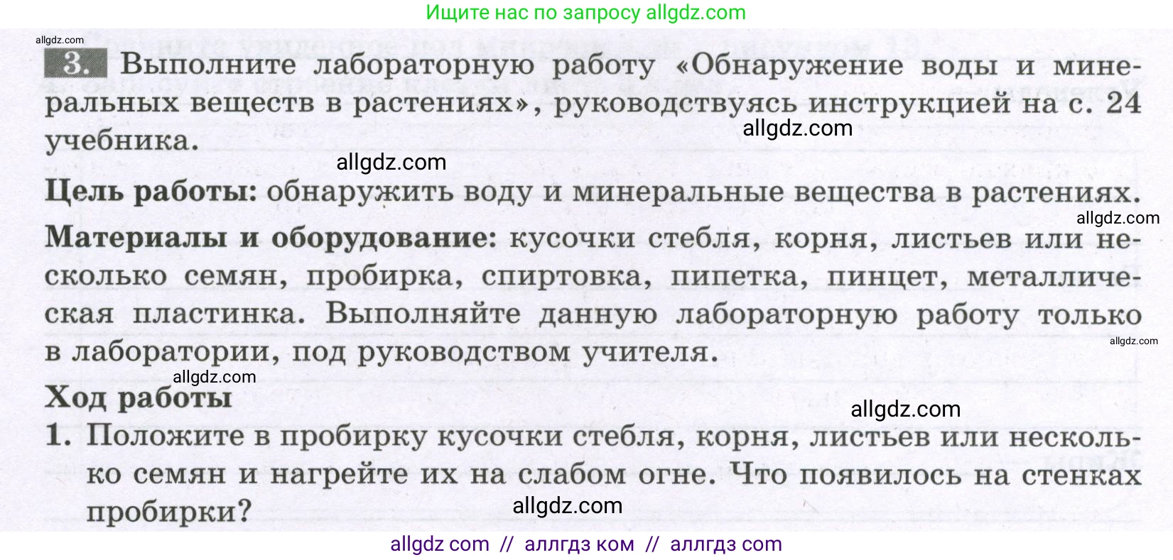 Биология, 6 класс рабочая тетрадь, авторы: Пасечник Владимир Васильевич, Суматохин Сергей Витальевич, Швецов Глеб Геннадьевич, Гапонюк Зоя Георгиевна, Косарькова Марина Викторовна, издательство Просвещение, Москва, 2023, белого цвета, страница 14, номер 3, Условие